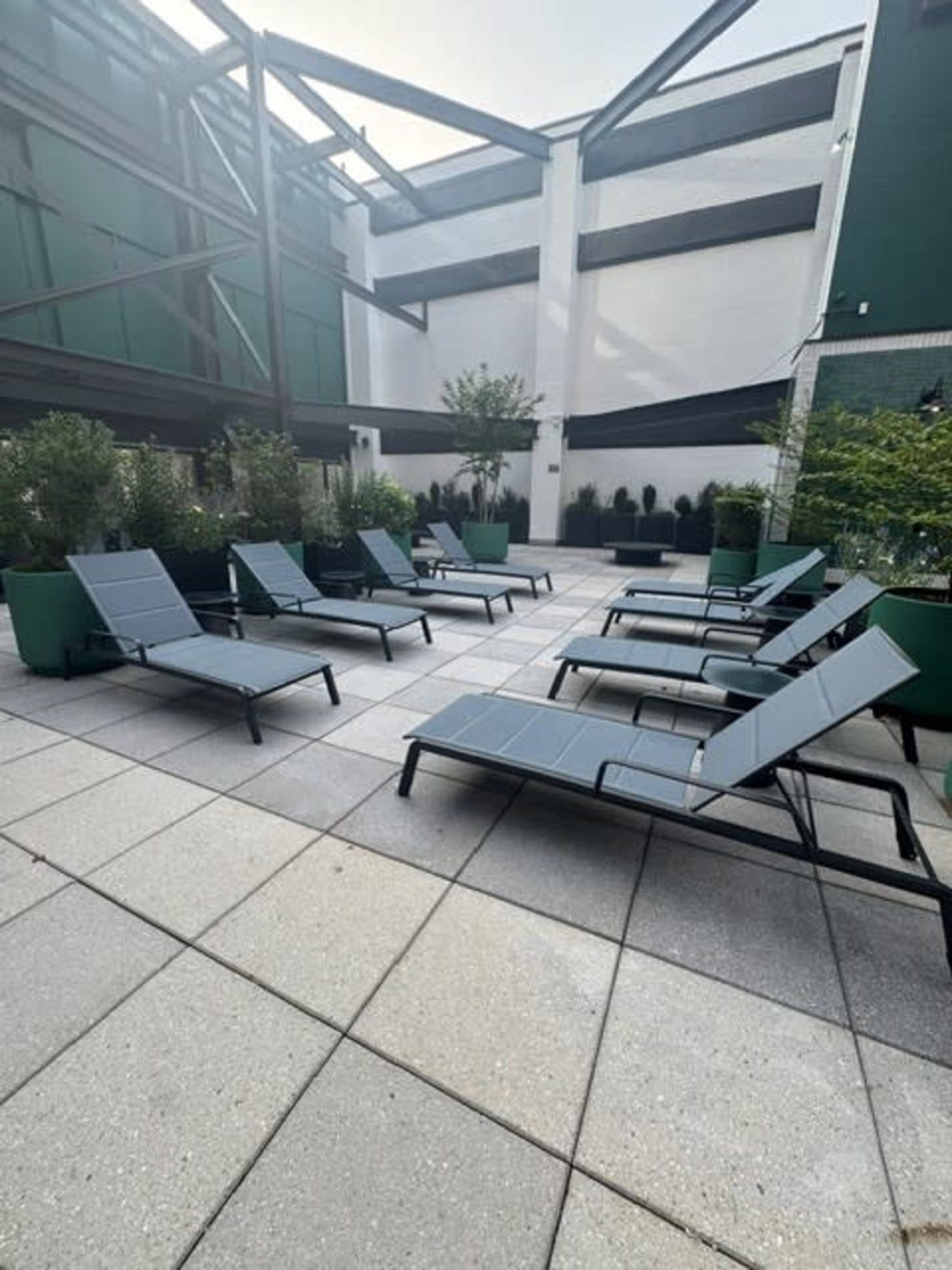 The image shows a patio area with several lounge chairs arranged in a grid pattern around green planters.
