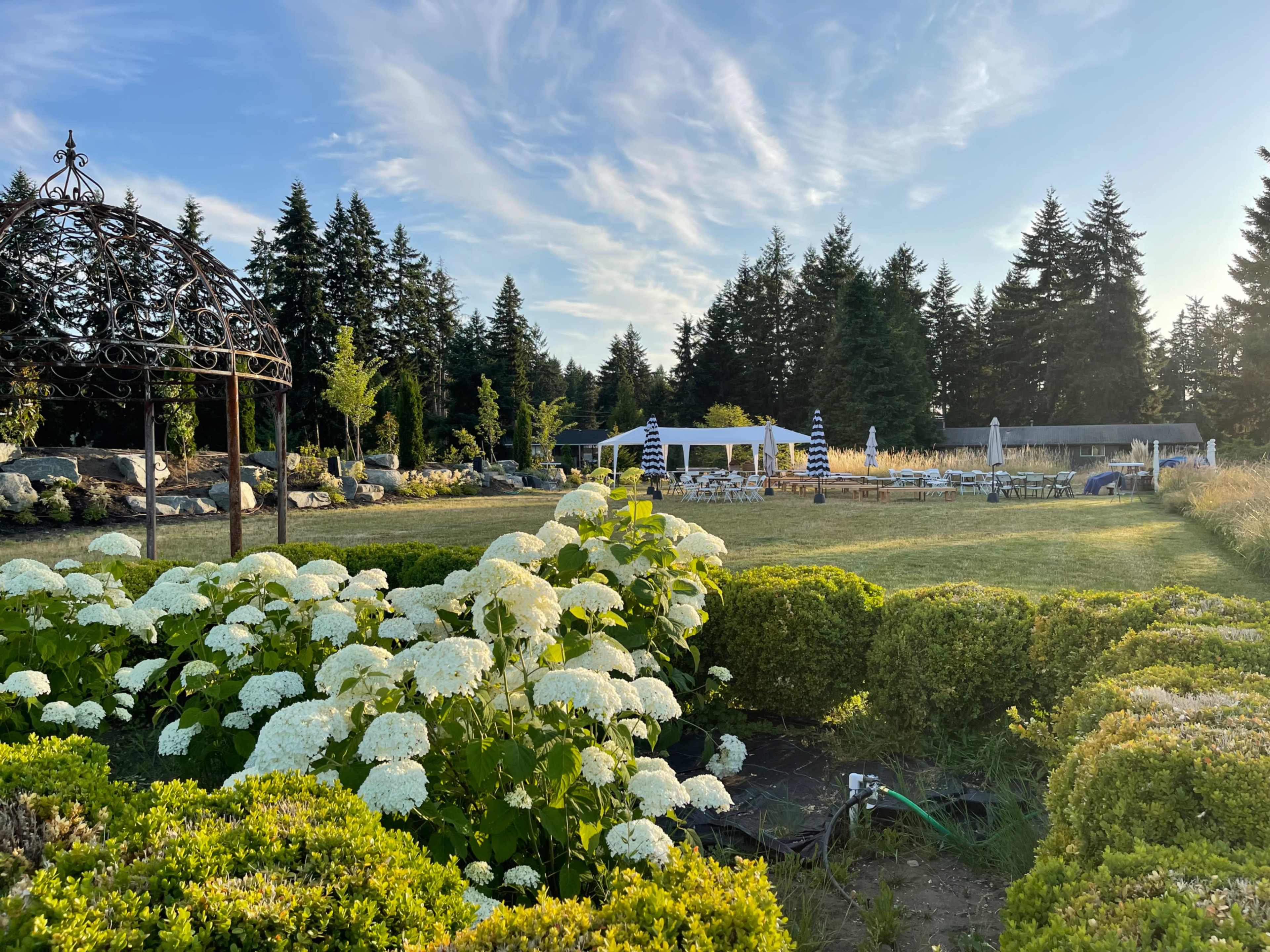The image shows a landscaped outdoor venue with white hydrangeas in the foreground, a seating area under a canopy in the background, and tall trees lining the horizon.