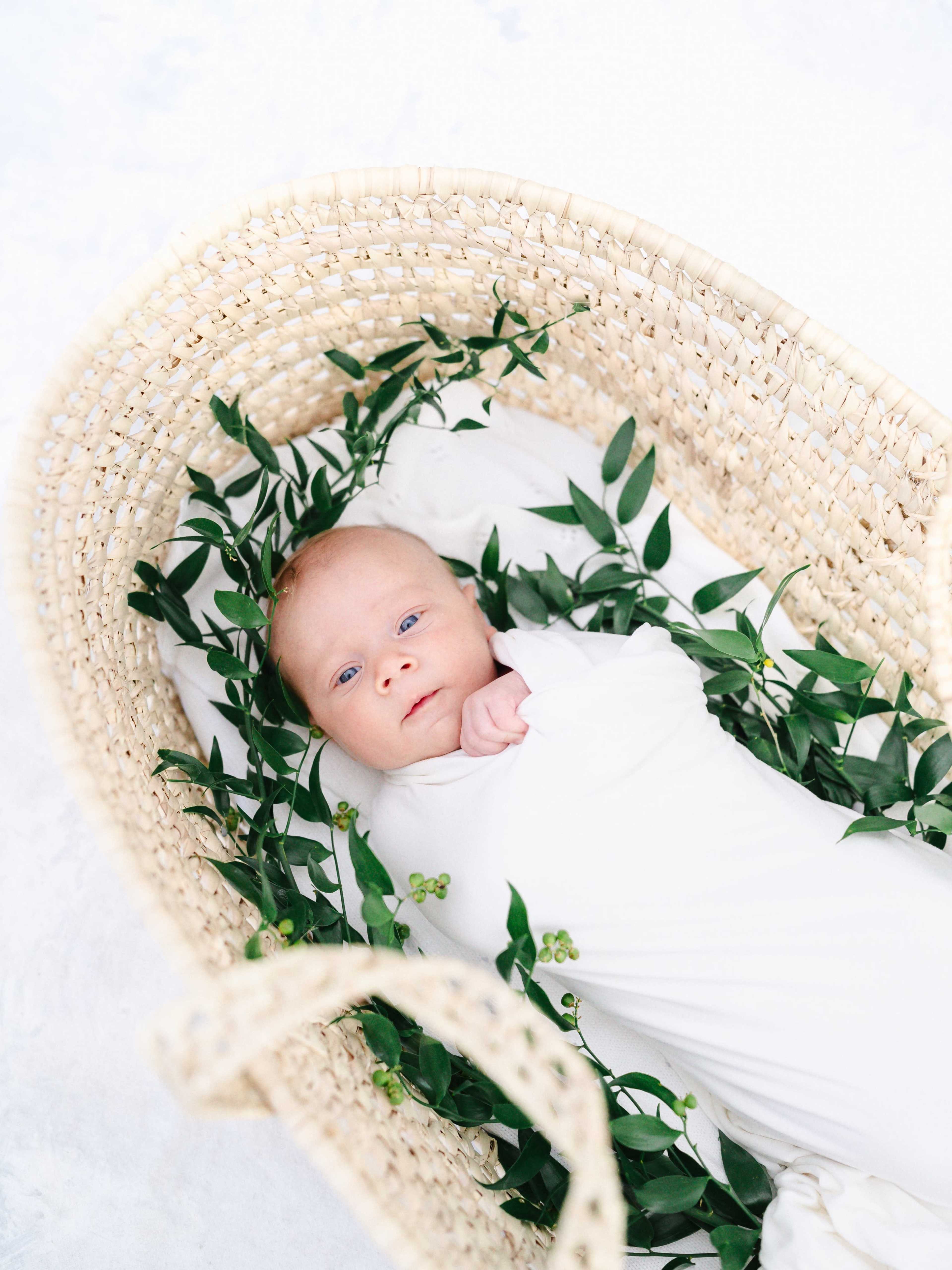 A swaddled baby with blue eyes lies in a woven basket surrounded by leafy greens.