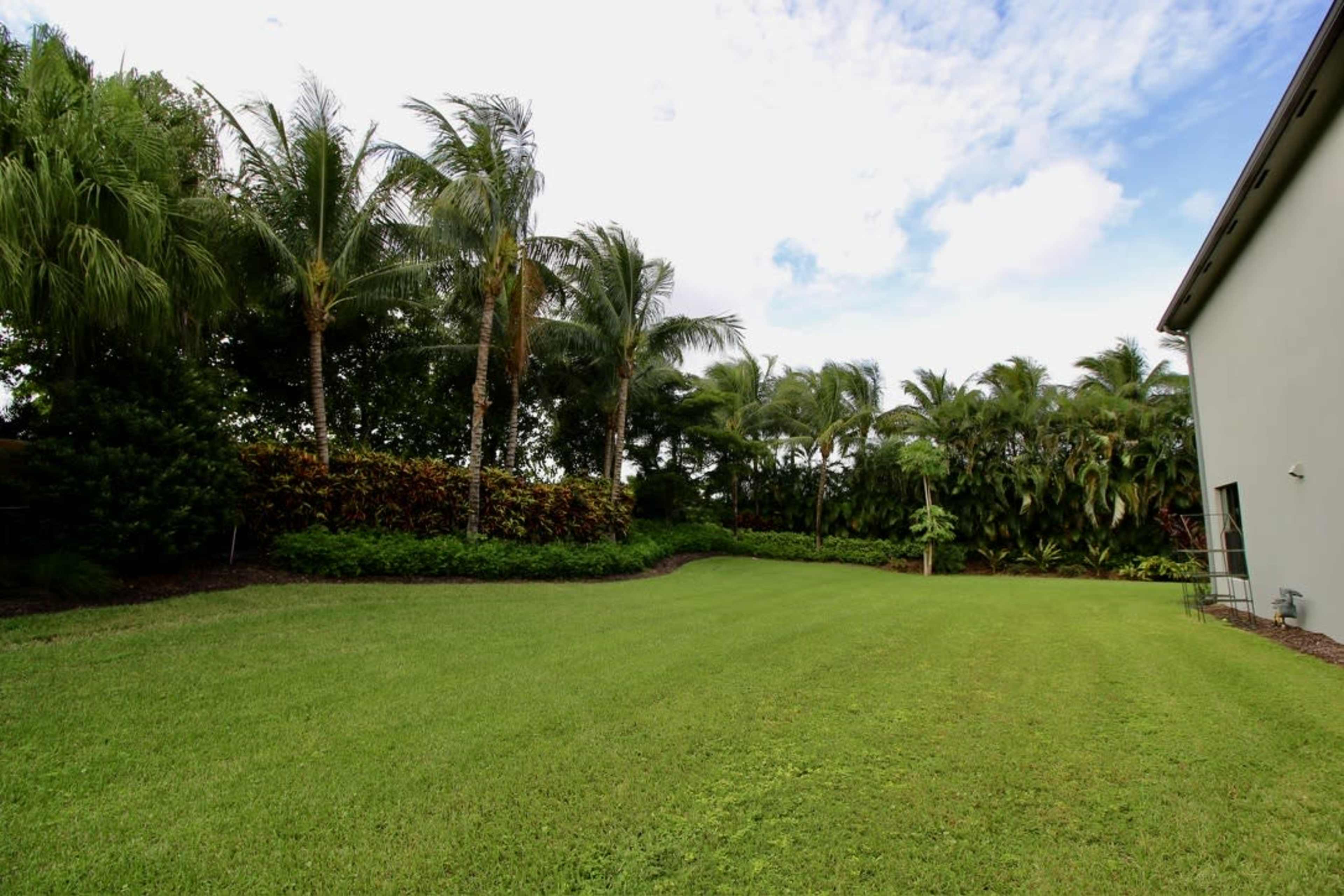 The image shows a lush green lawn bordered by tall palm trees and dense shrubbery.