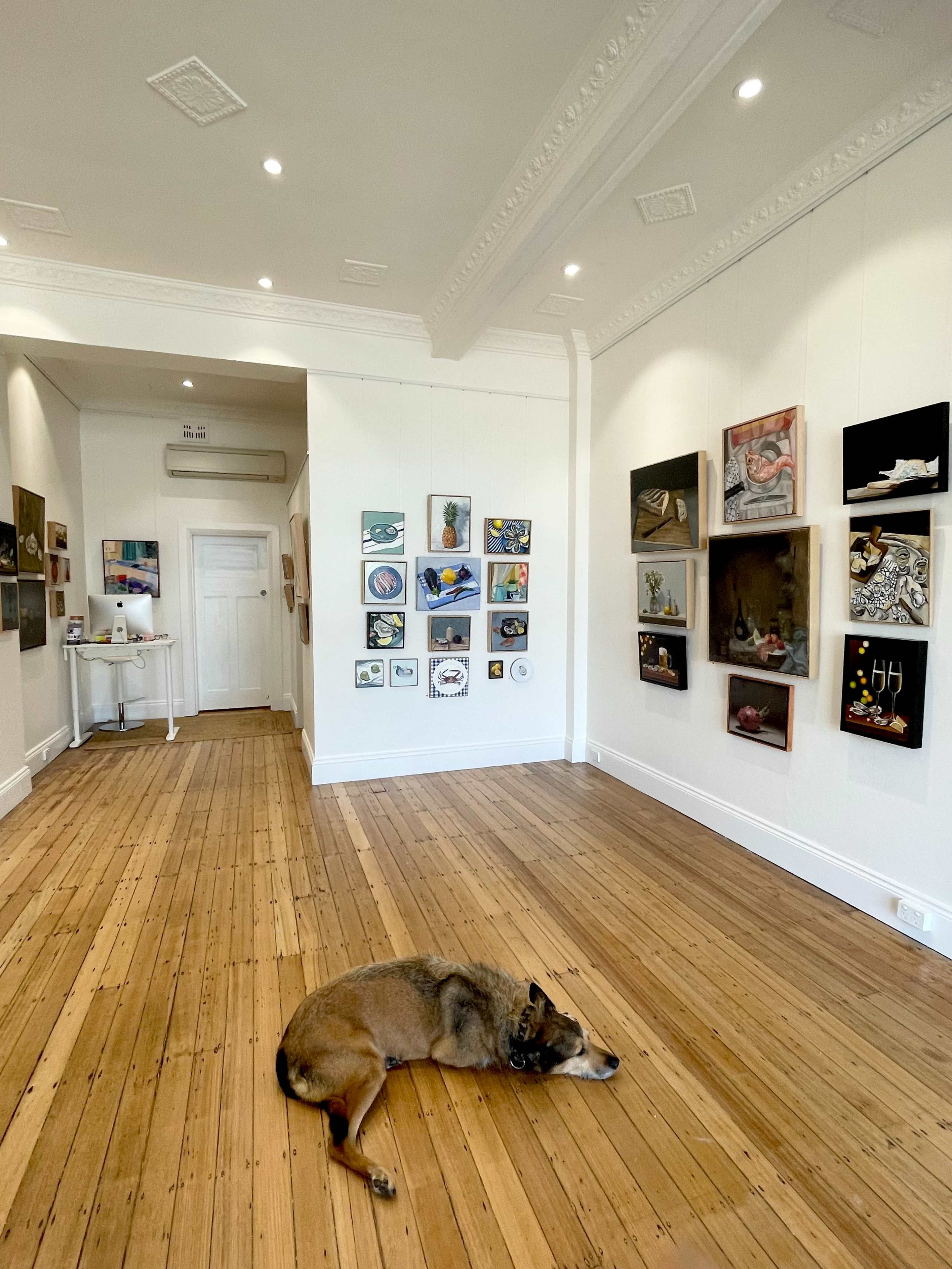 Exclusive Woollahra Gallery Space Image in Woollahra, Woollahra, NSW