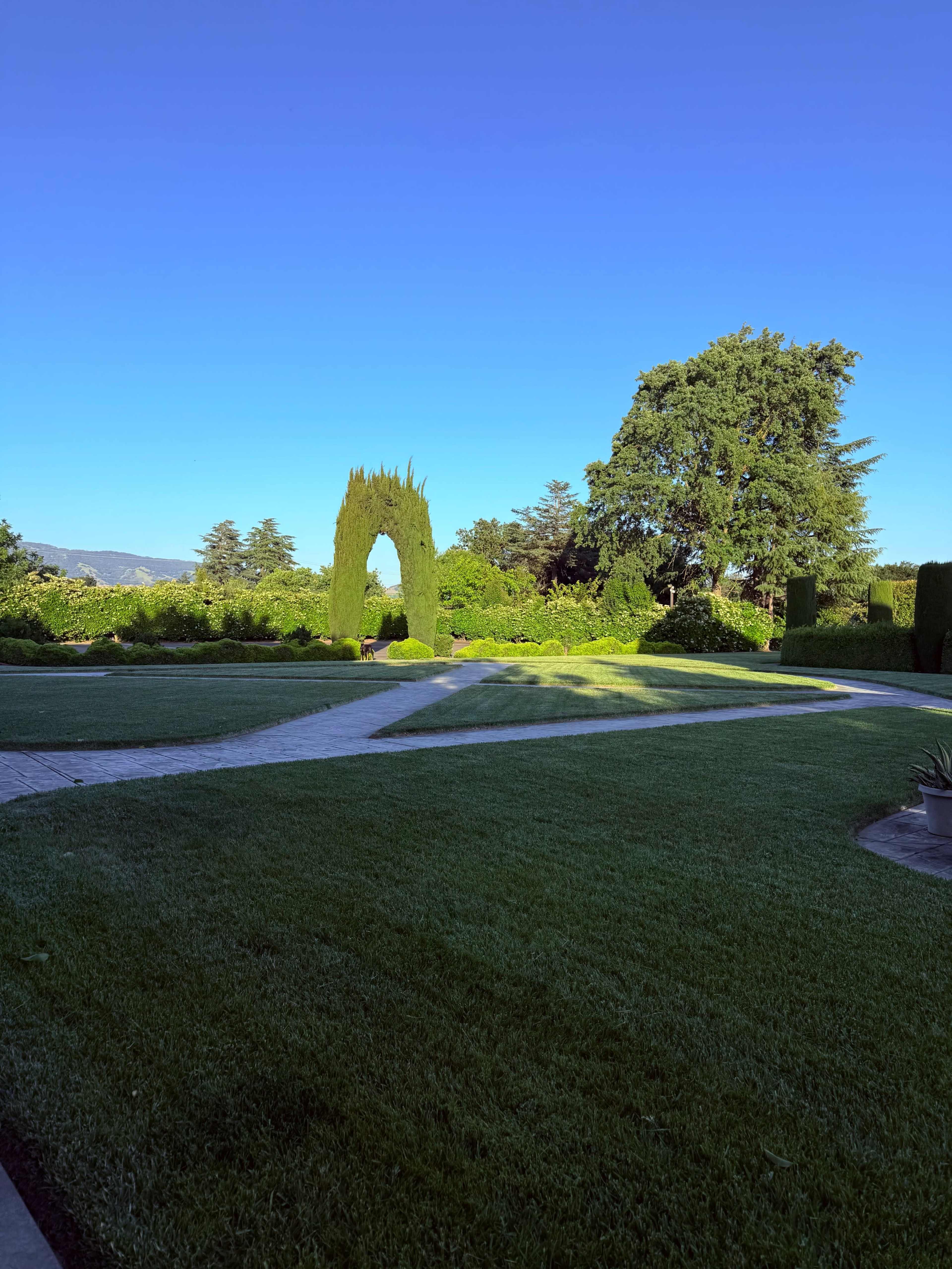 A manicured garden features a pathway leading to a tall, arch-shaped hedge surrounded by lush greenery under a clear blue sky.