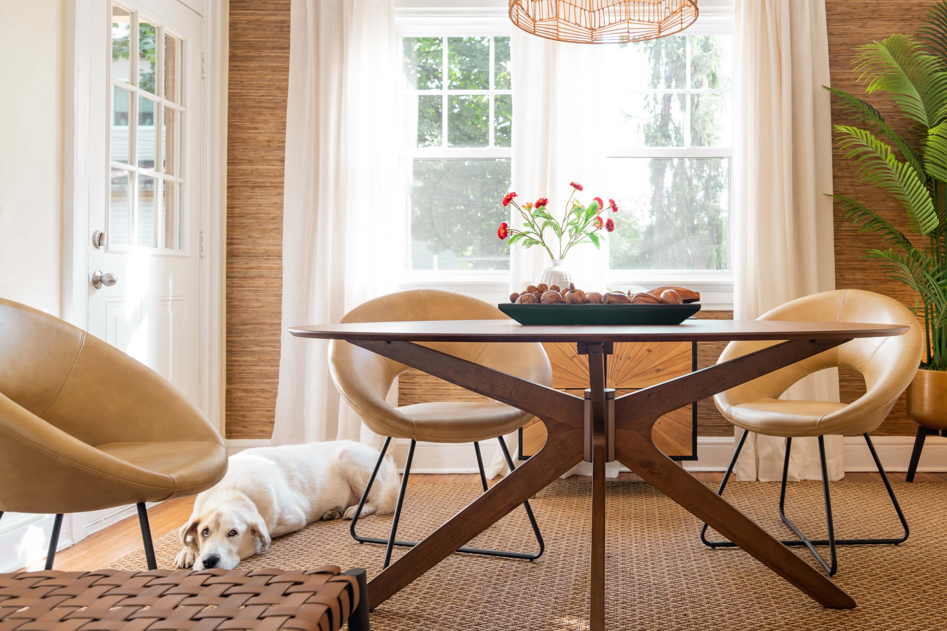 A Labrador dog lies on the floor beside a round wooden dining table surrounded by modern chairs in a well-lit room.