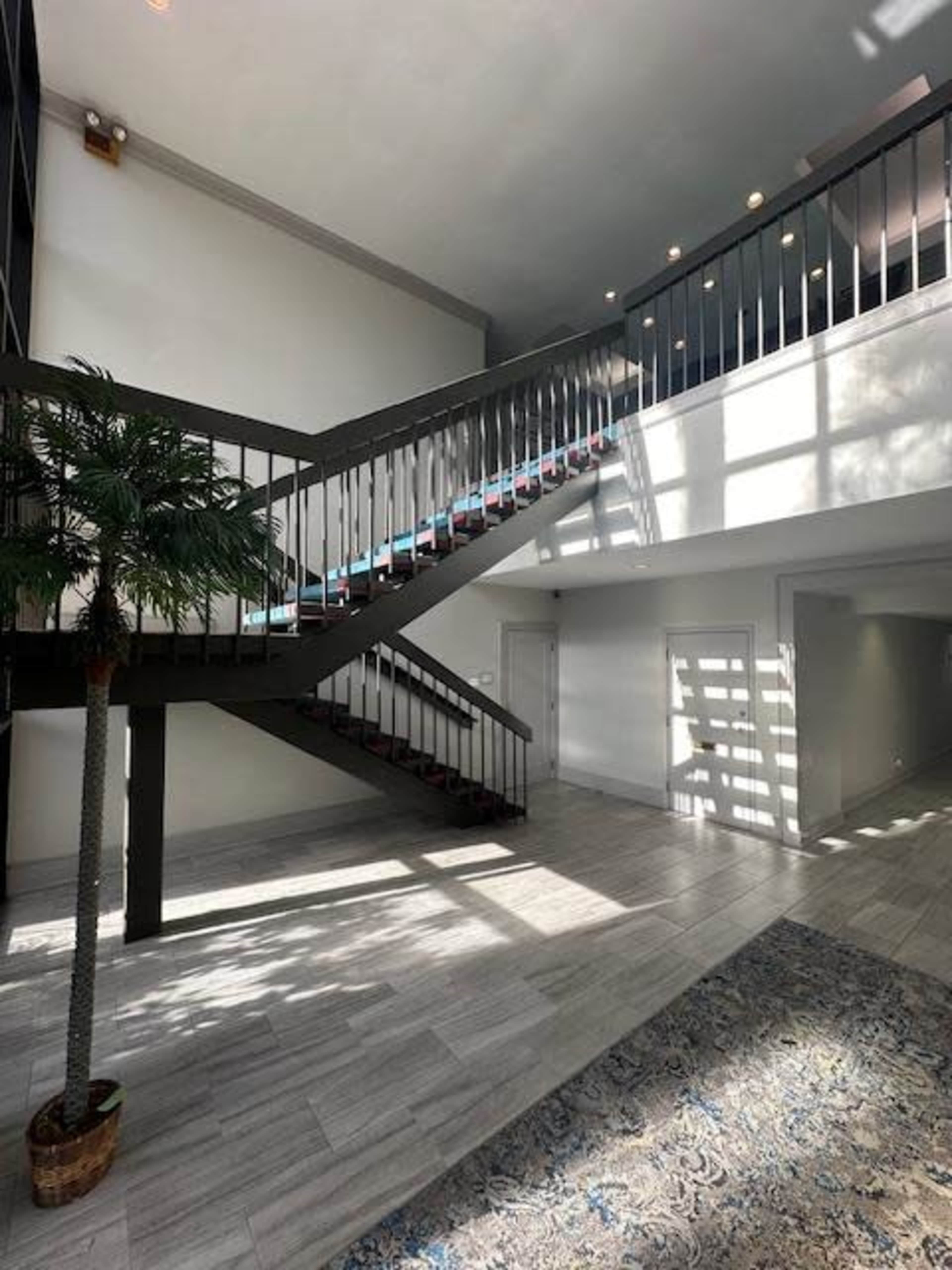 The image shows a modern interior space with a staircase, a potted palm tree, and light casting shadows on the floor.