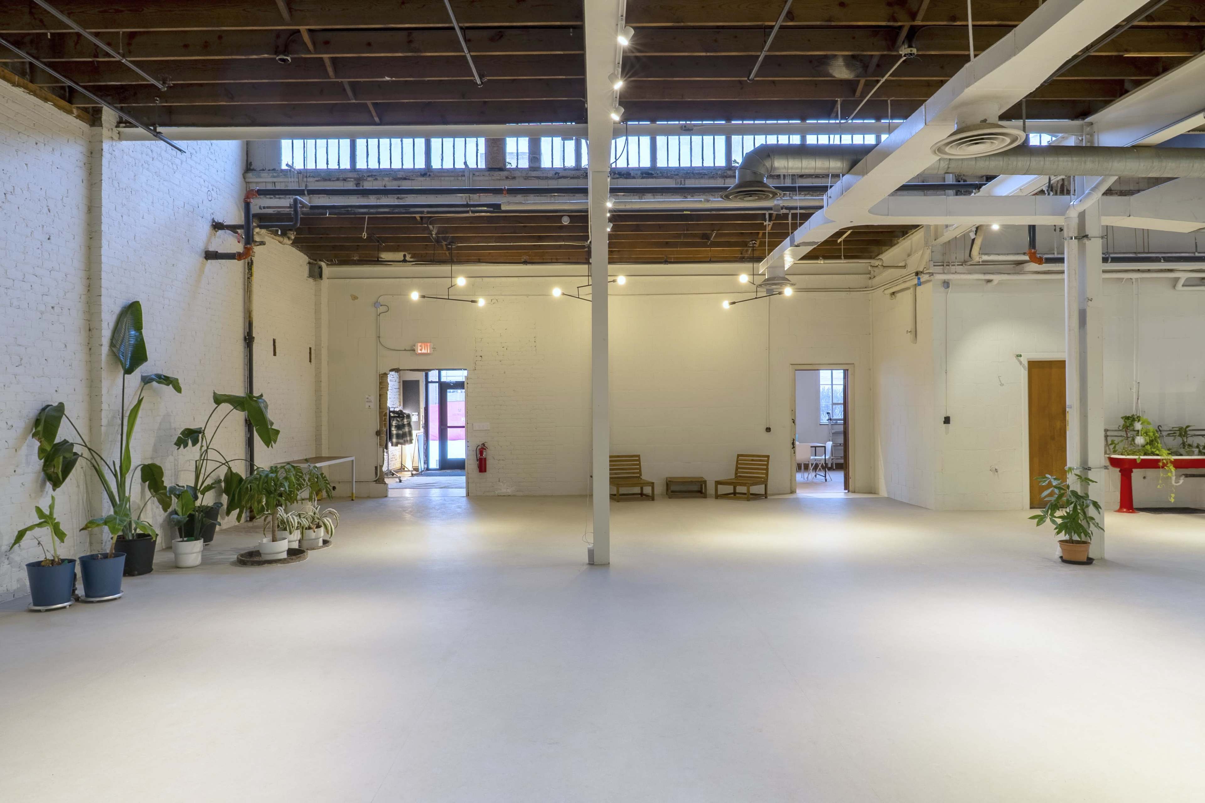 The image shows a spacious, empty studio with white walls, wooden beams, and several potted plants arranged along the floor.