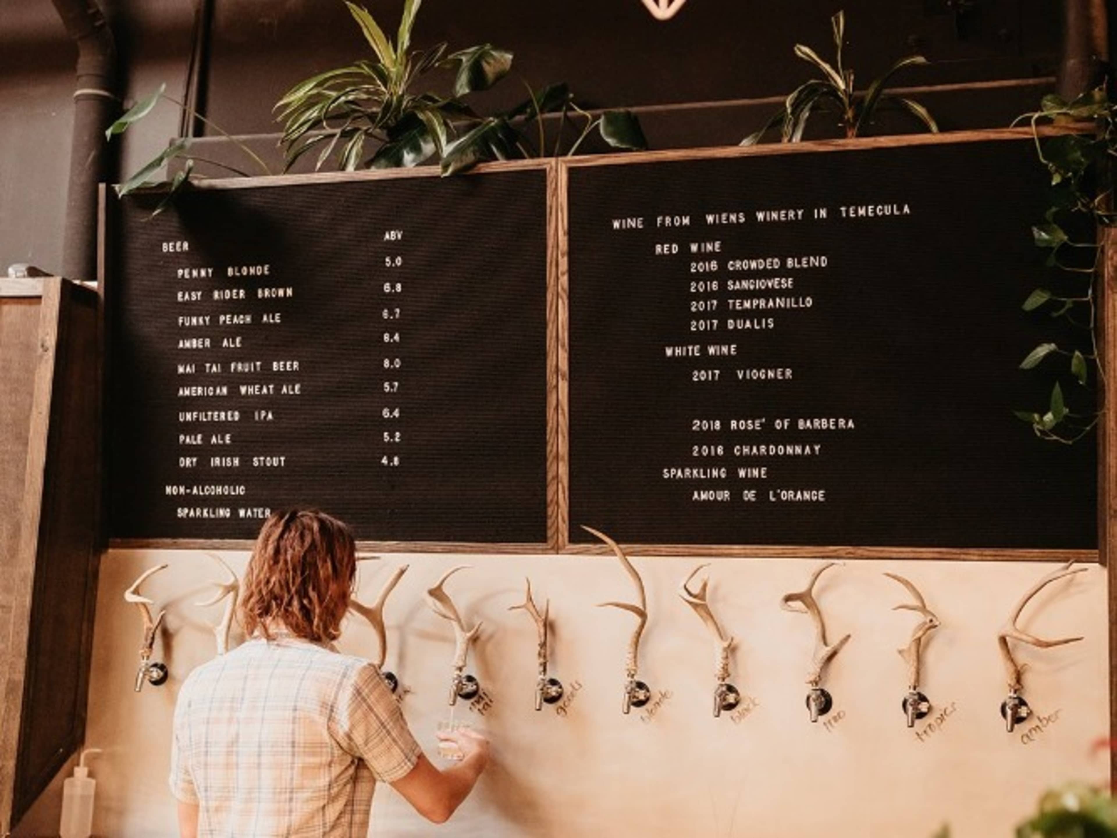Craft Beer and Wine Bar