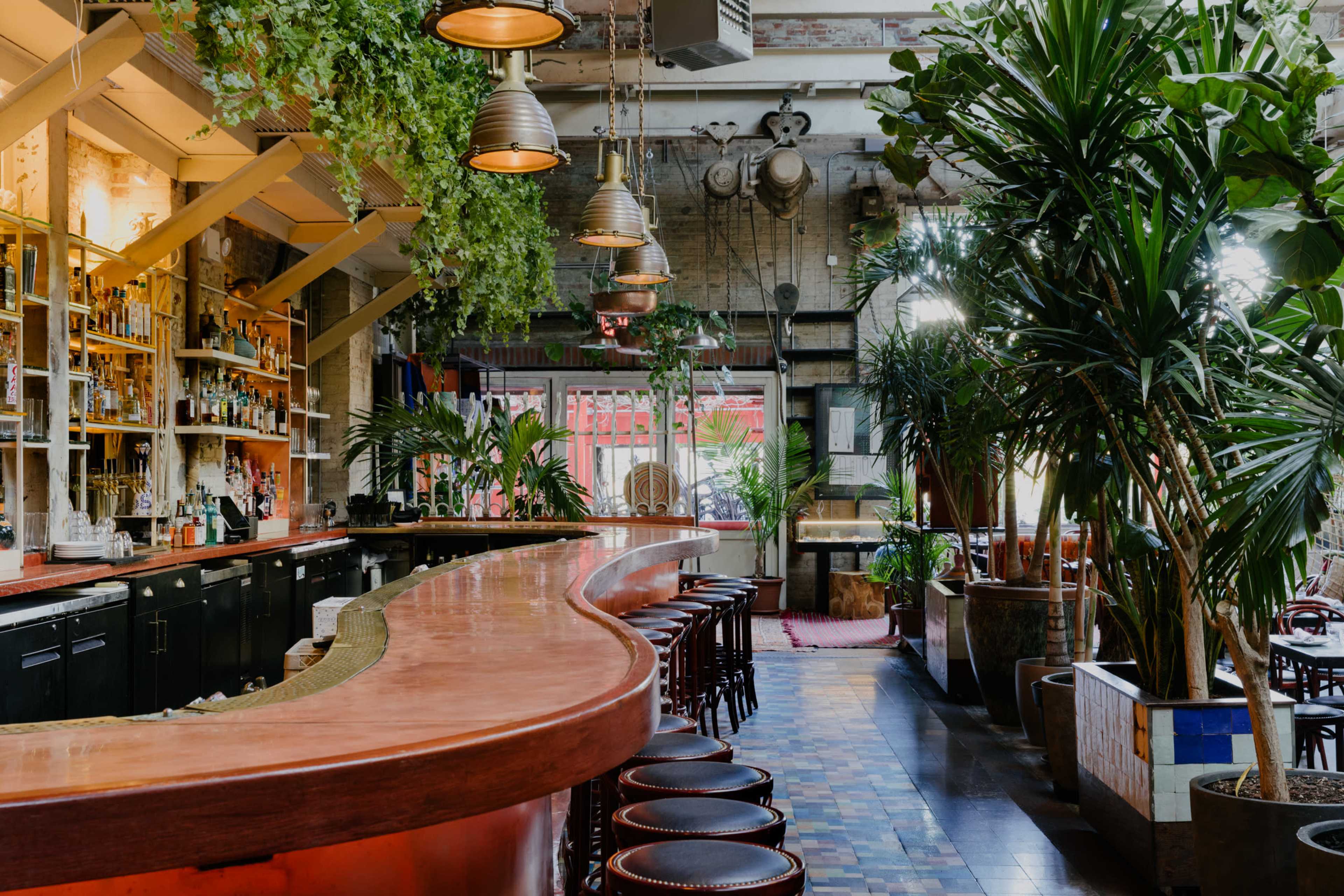 A curved wooden bar surrounded by potted plants and a brightly lit interior creates a tropical atmosphere in the venue.