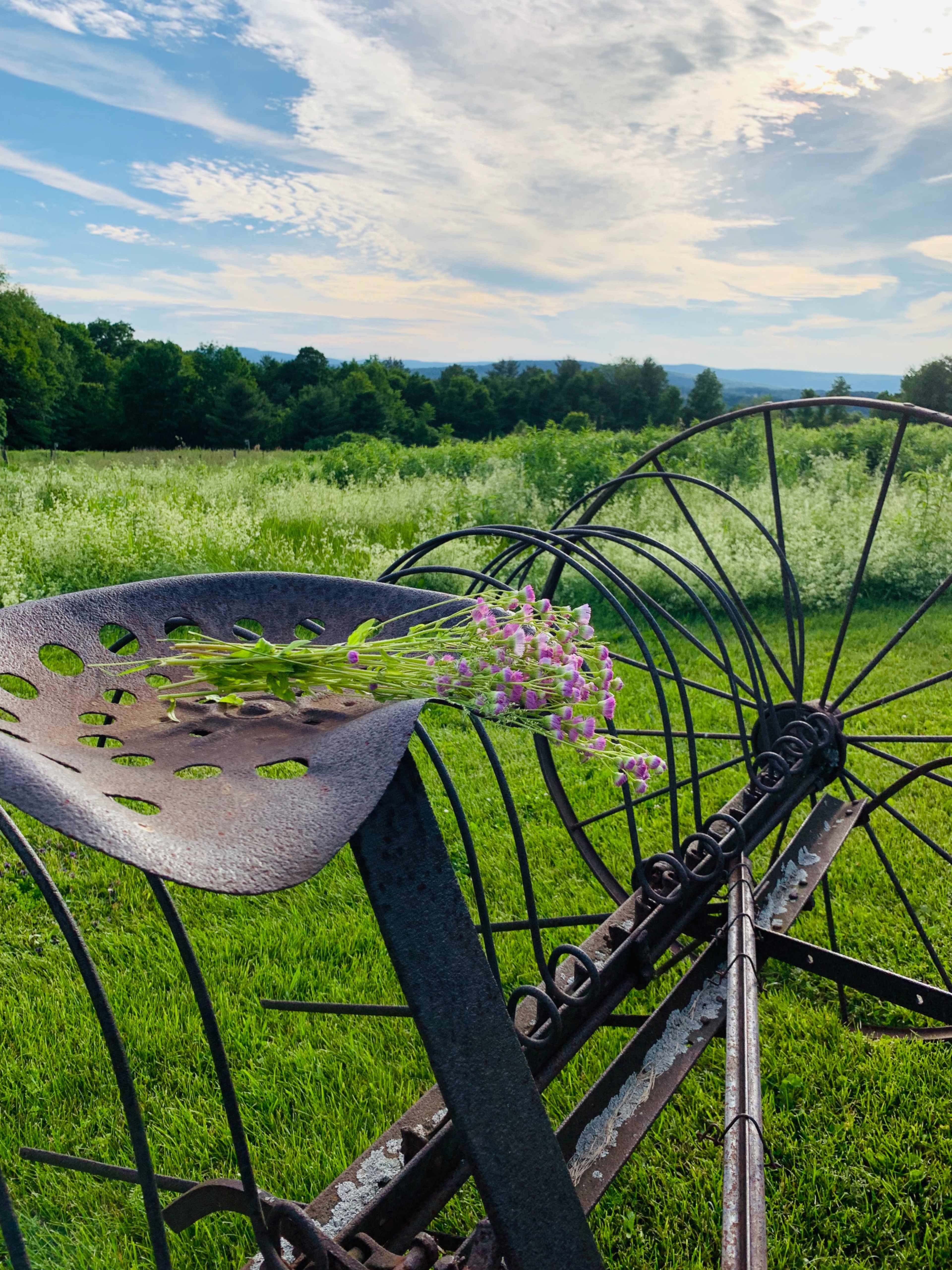 A rusted farm implement rests on green grass with a bouquet of flowers placed on its seat, set against a backdrop of rolling fields under a cloudy sky.