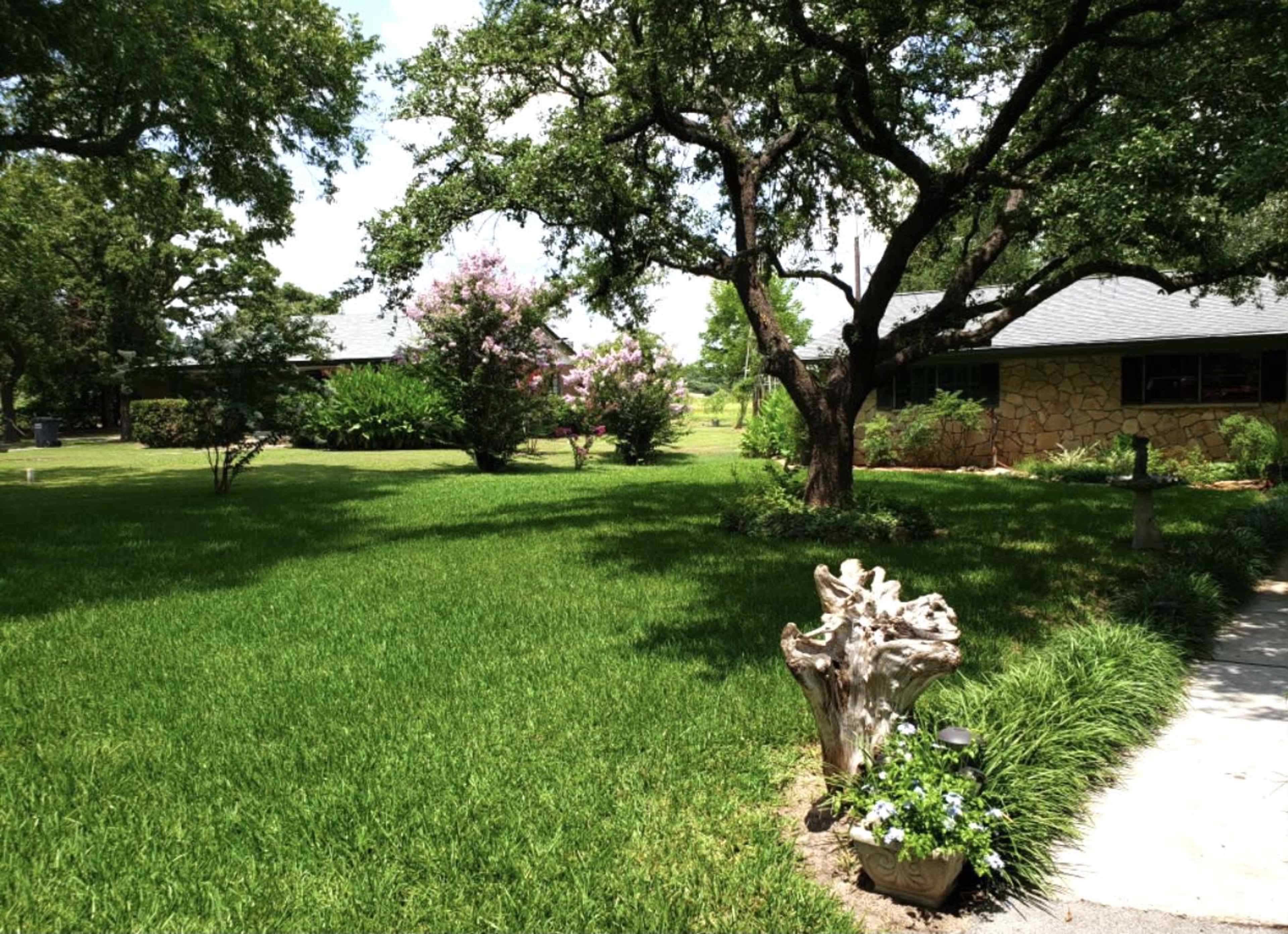 The image shows a well-maintained green lawn bordered by trees and bushes in a residential area.