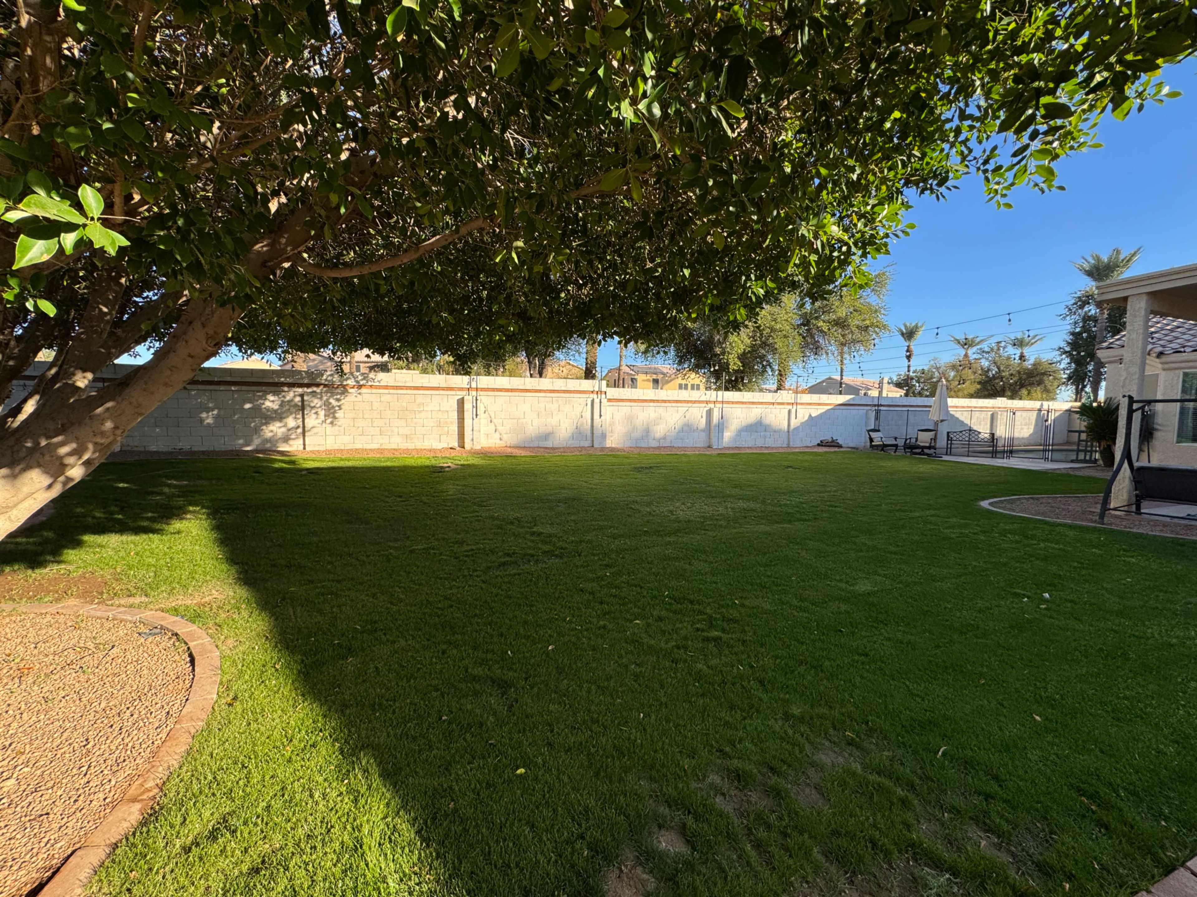 Large Grassy Yard with Pool Image in Garden Lakes, Avondale, AZ