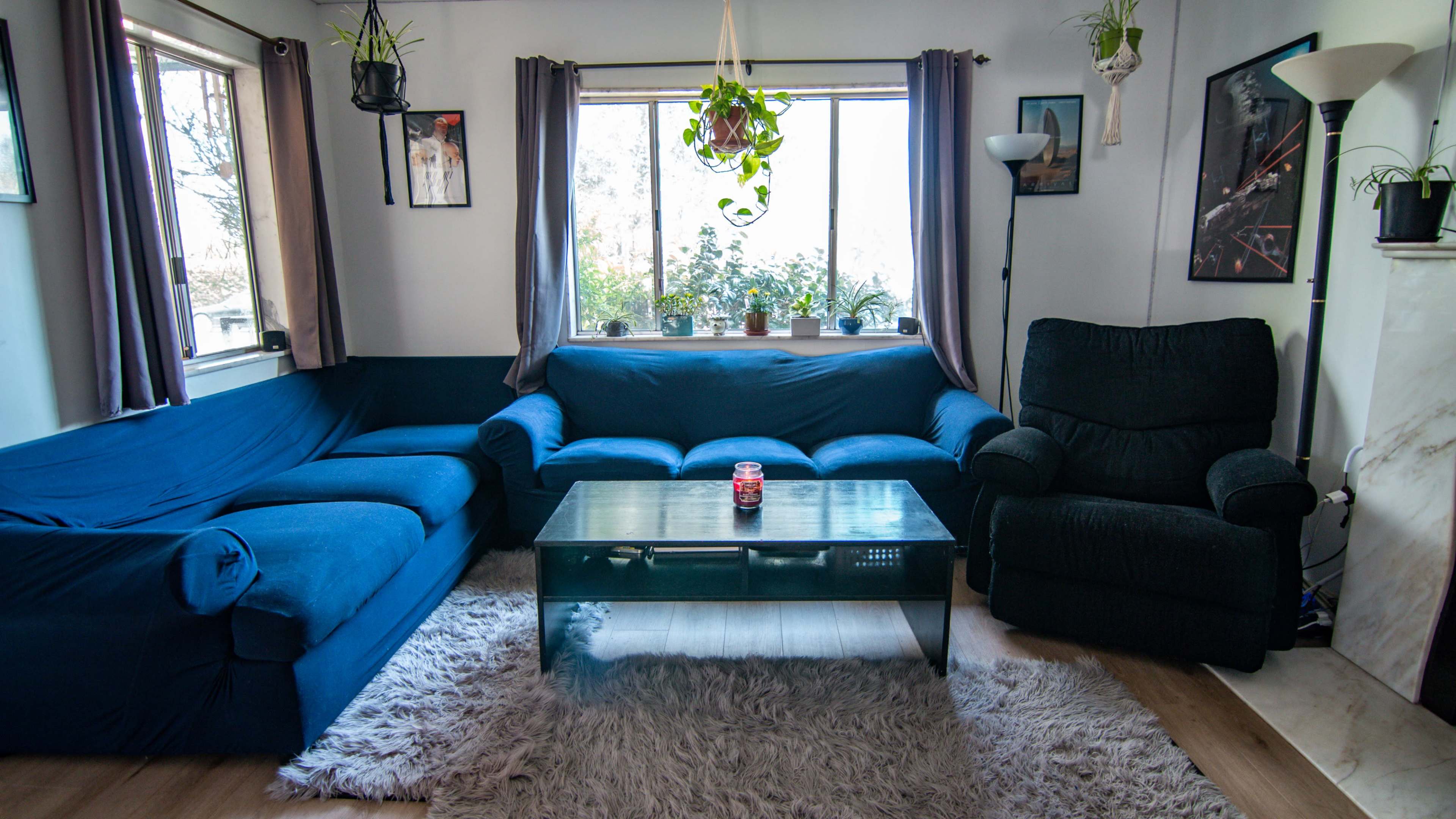 A living room featuring blue upholstered furniture, a glass coffee table, a light rug, and plants on the windowsill.