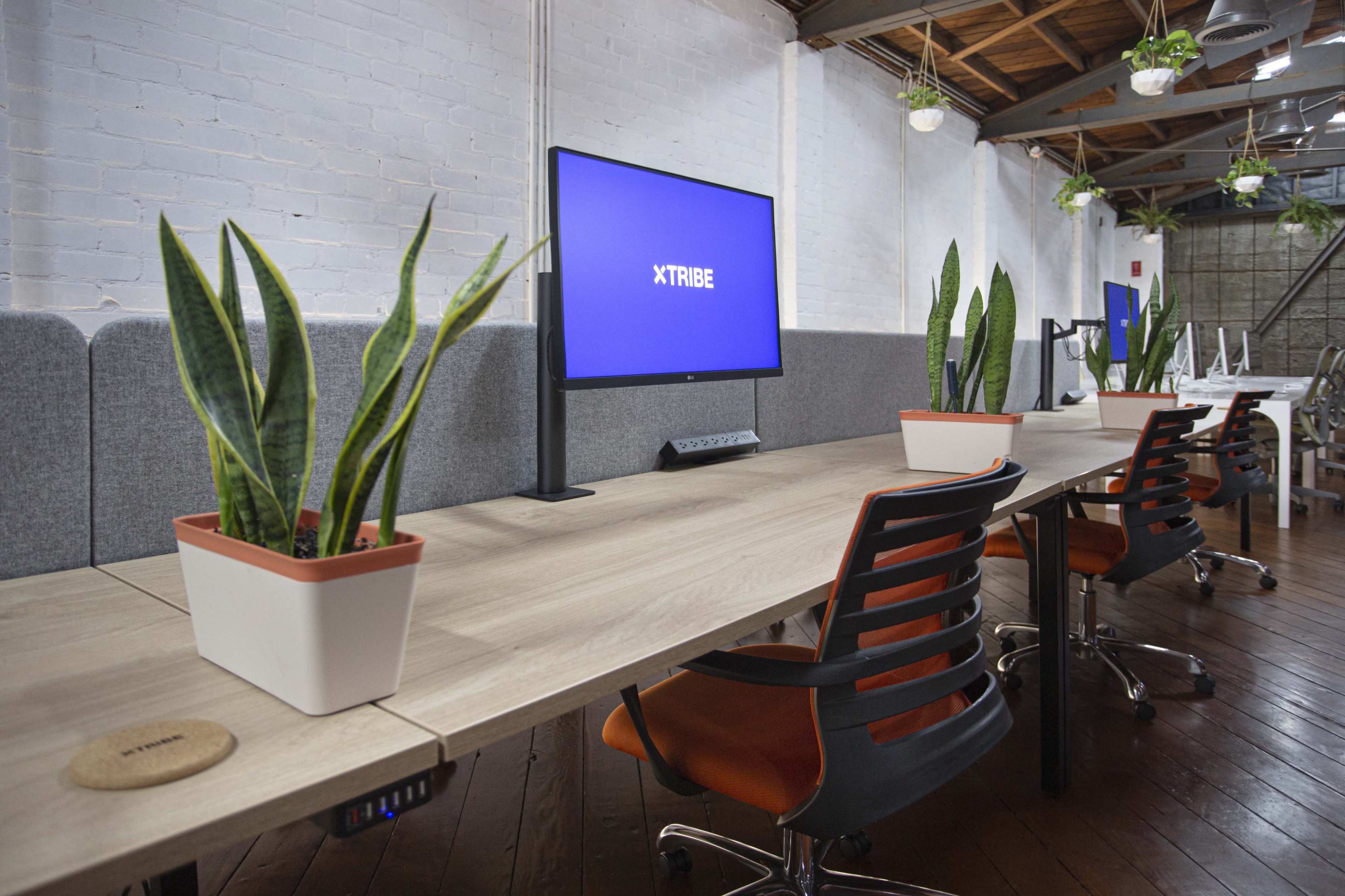 A long wooden table with several chairs and potted plants is set up in a modern office space featuring a large screen displaying "XTRIBE."