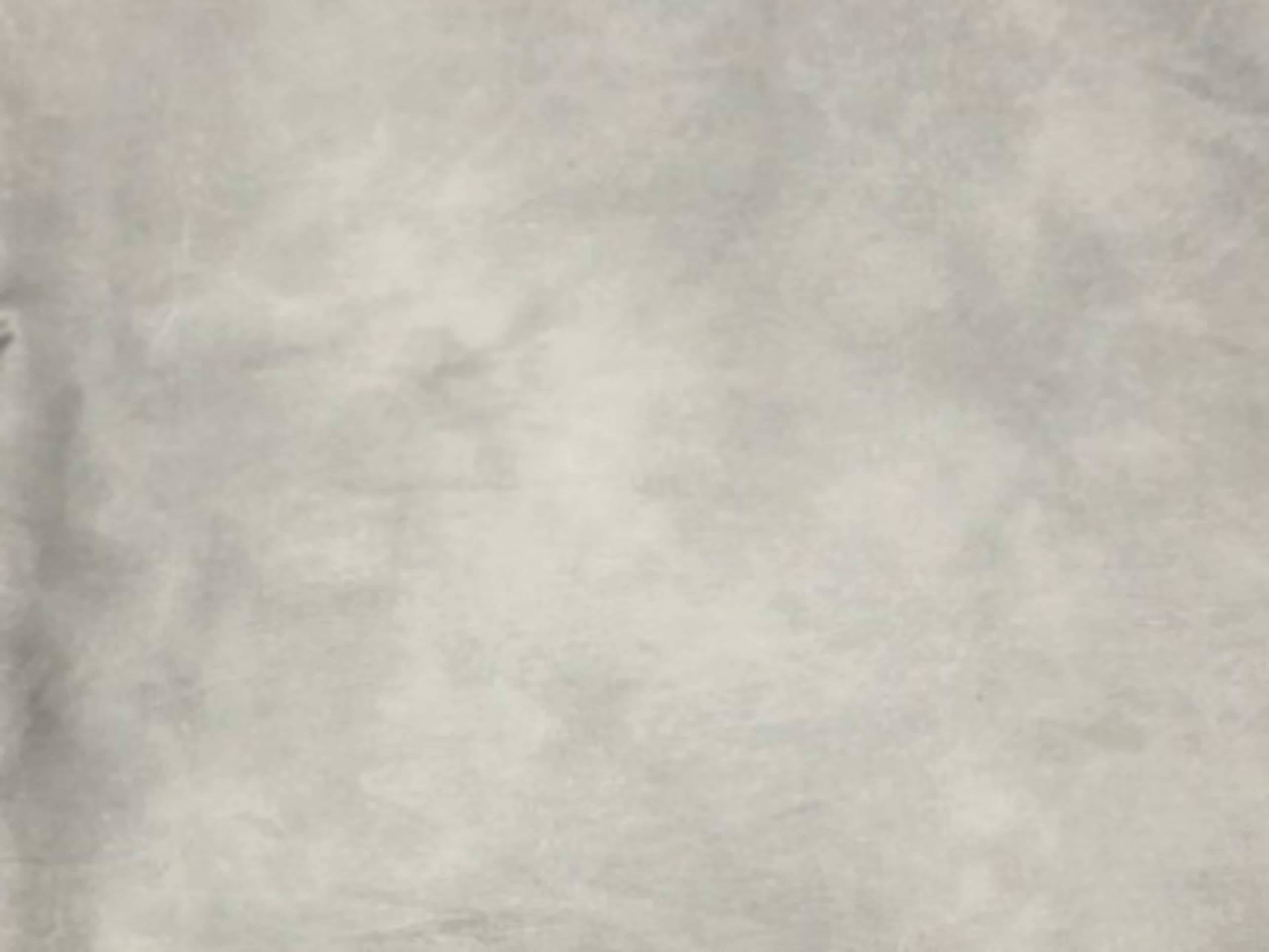 Spackled Grey Muslin Backdrop