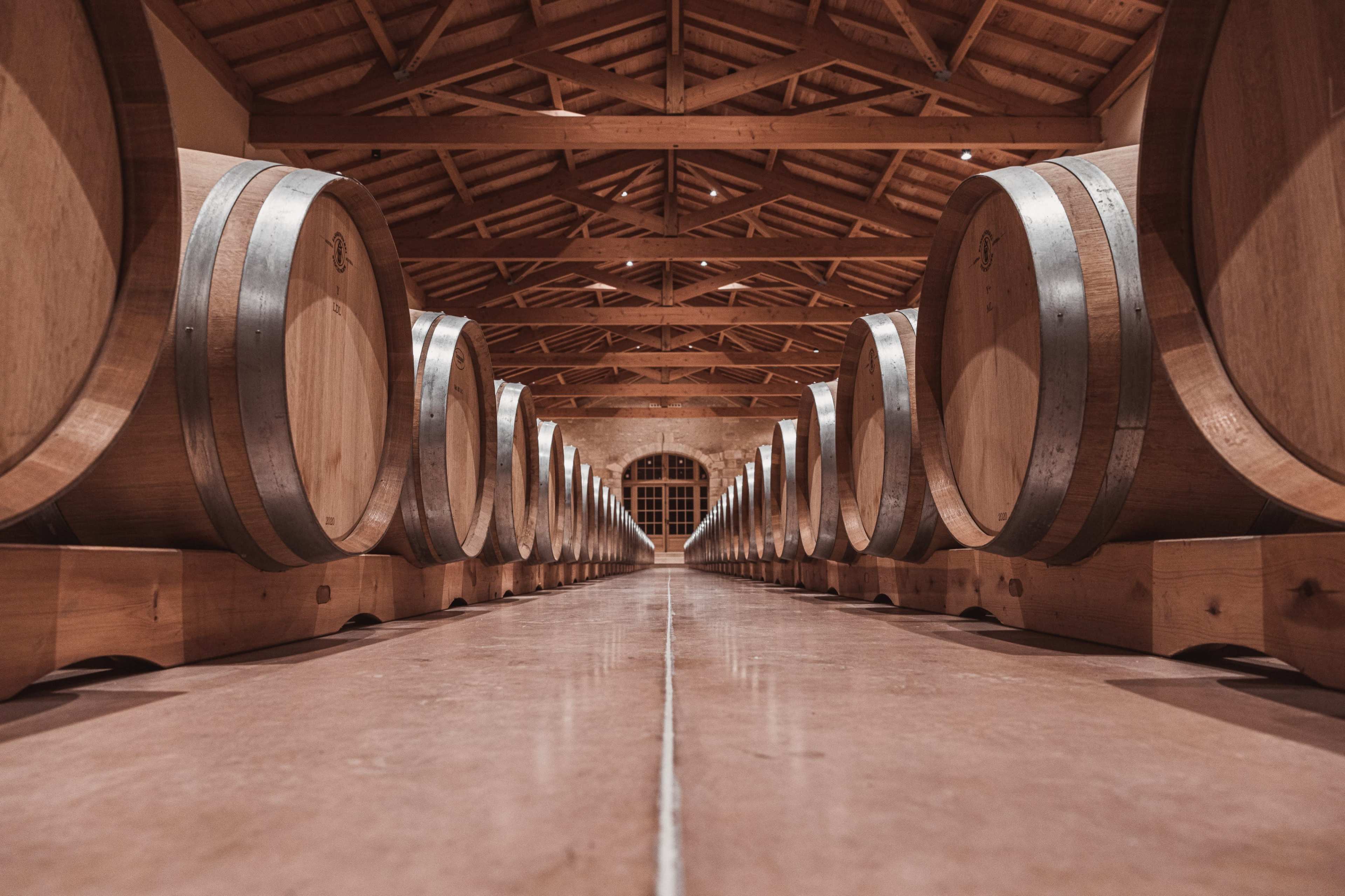 The image shows a row of wooden wine barrels neatly lined up in a spacious, well-lit wine cellar.
