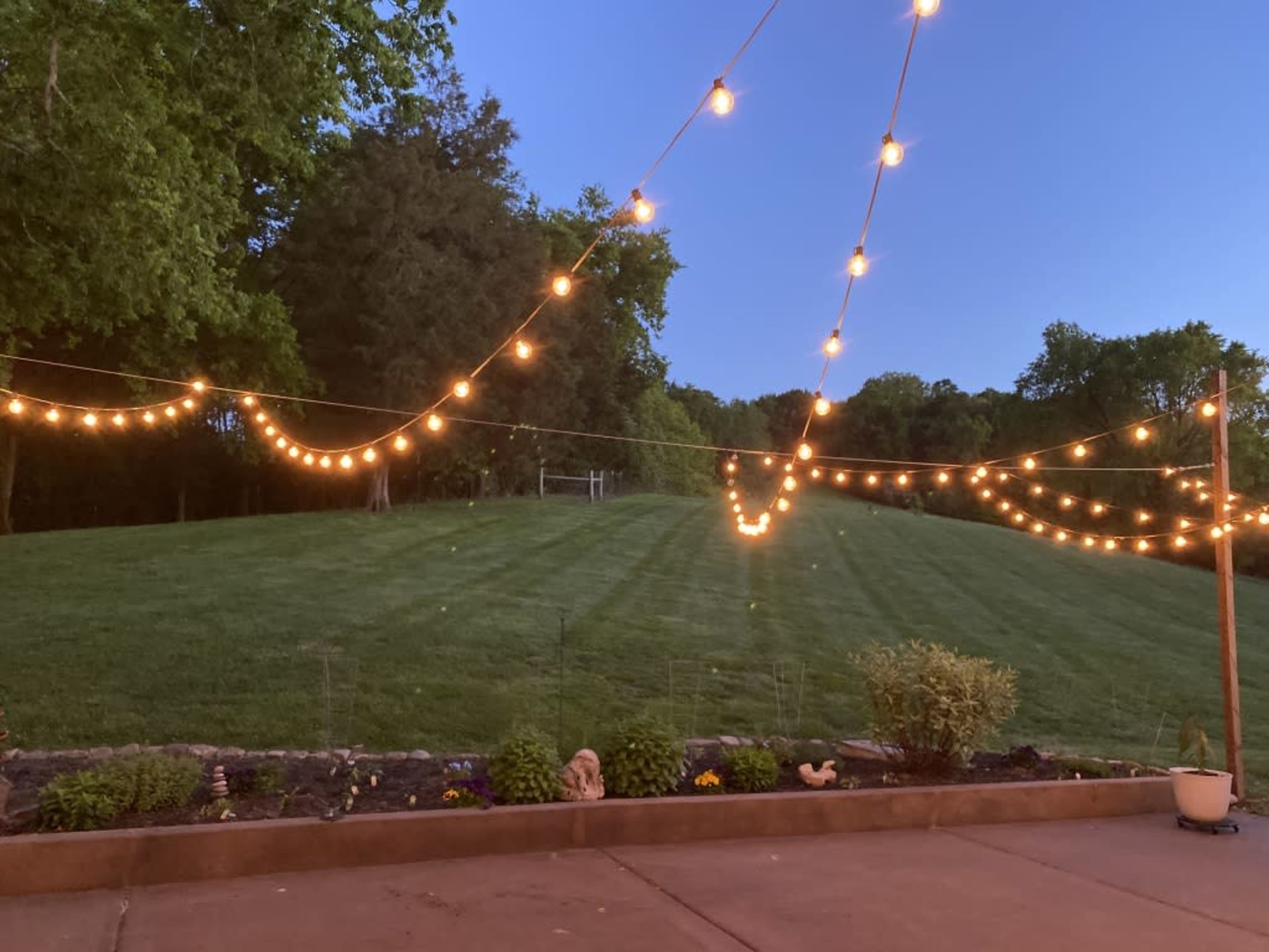 The image shows a grassy hillside illuminated by string lights set up in the foreground, with gardens visible along the patio.