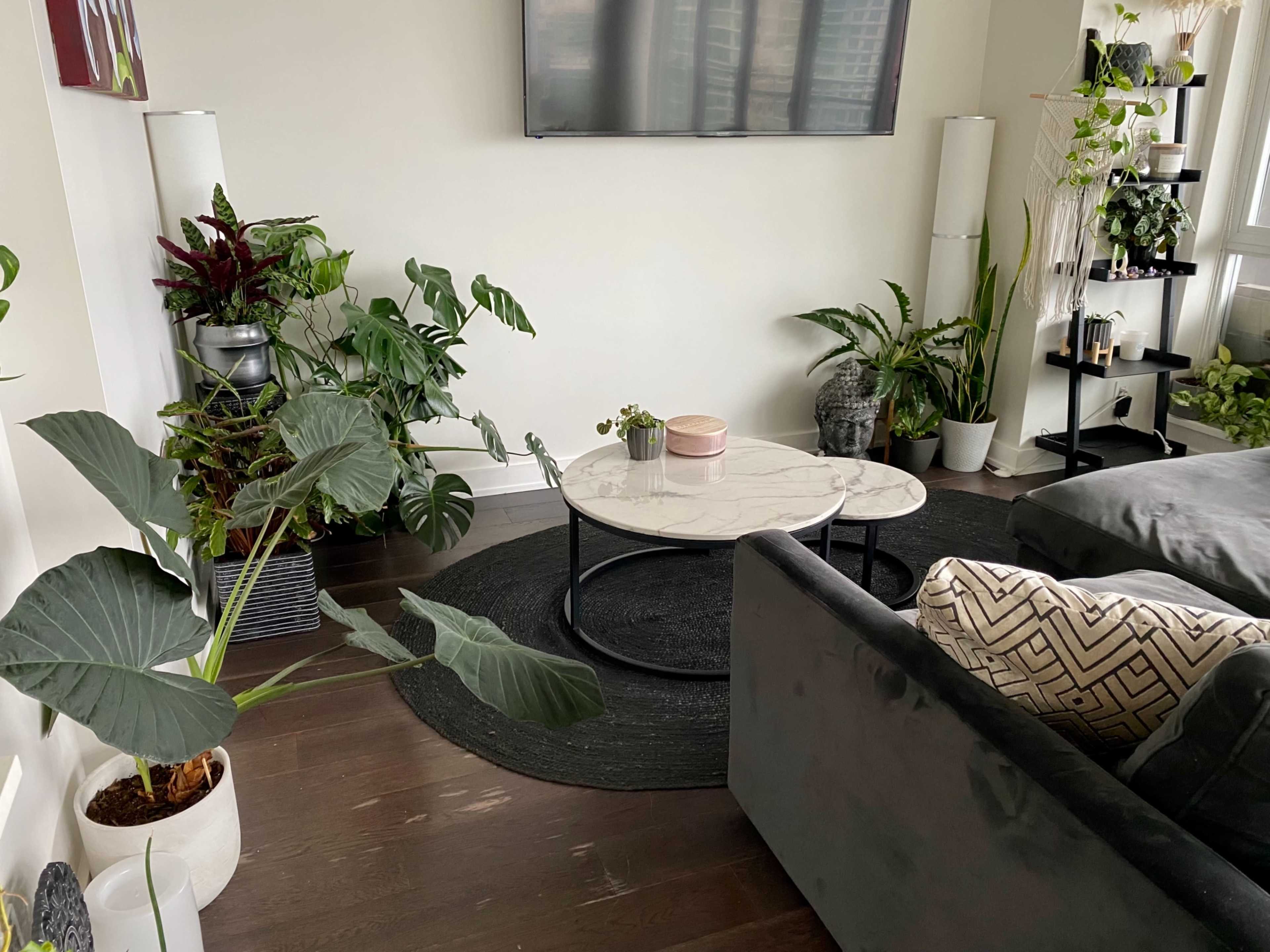The image shows a modern living room with a dark rug, a round marble coffee table, a sectional sofa, and several indoor plants in various containers.