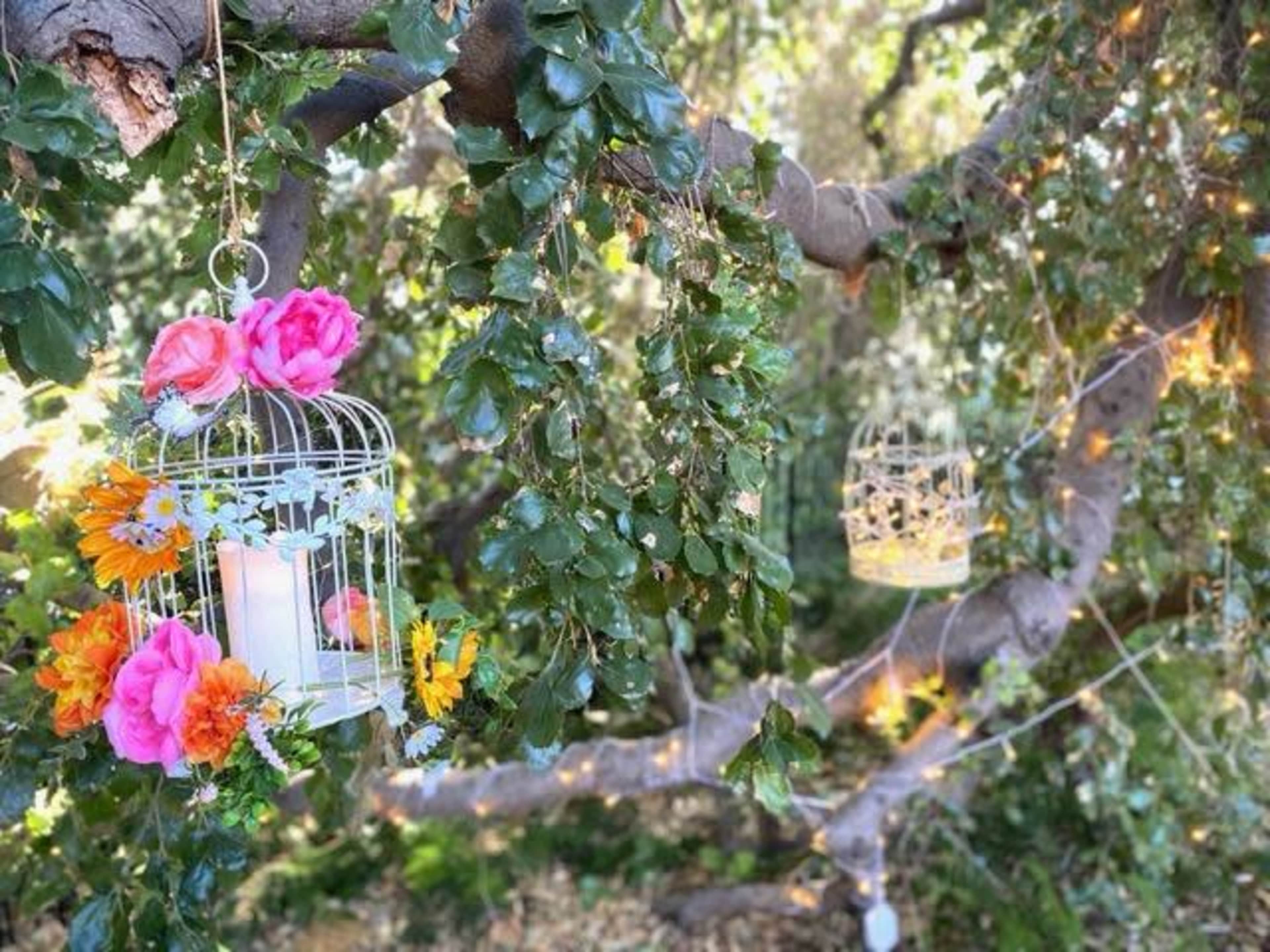 A tree branch adorned with decorative birdcages, flowers, and string lights creates a whimsical outdoor setting.