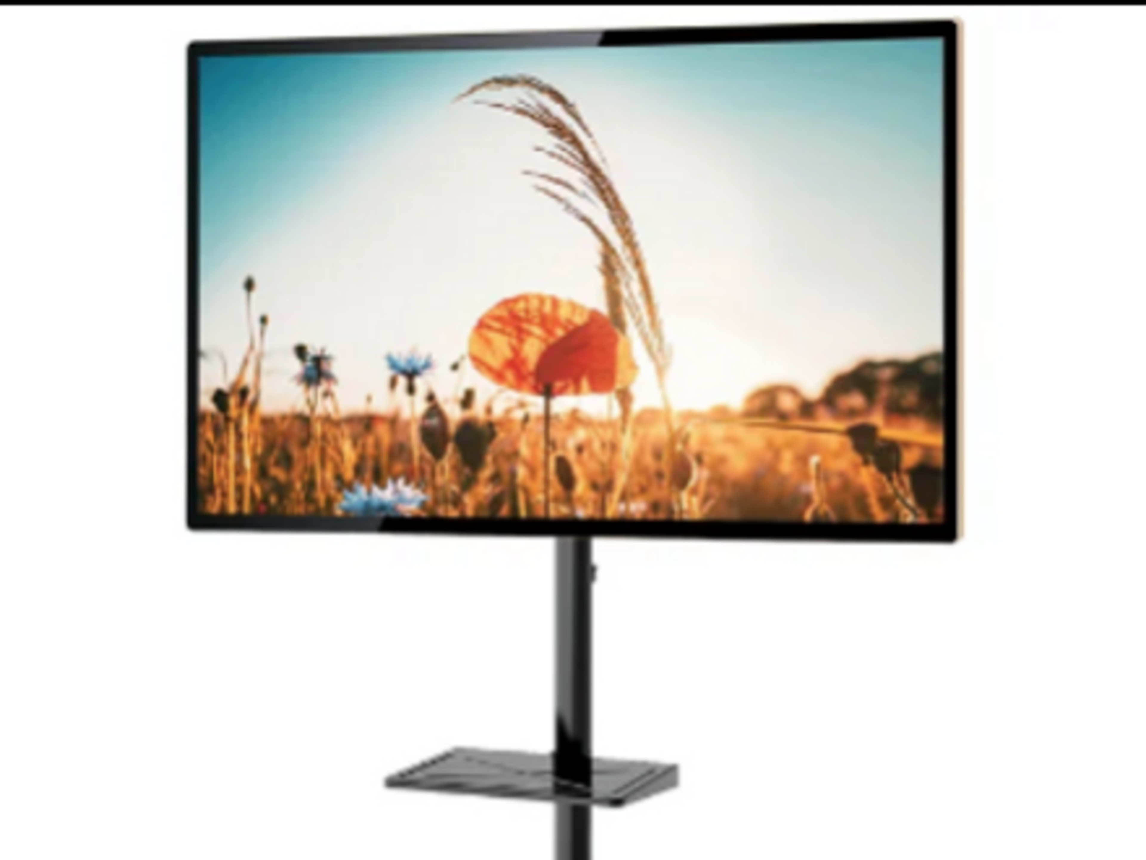 Tethering 65" TV
