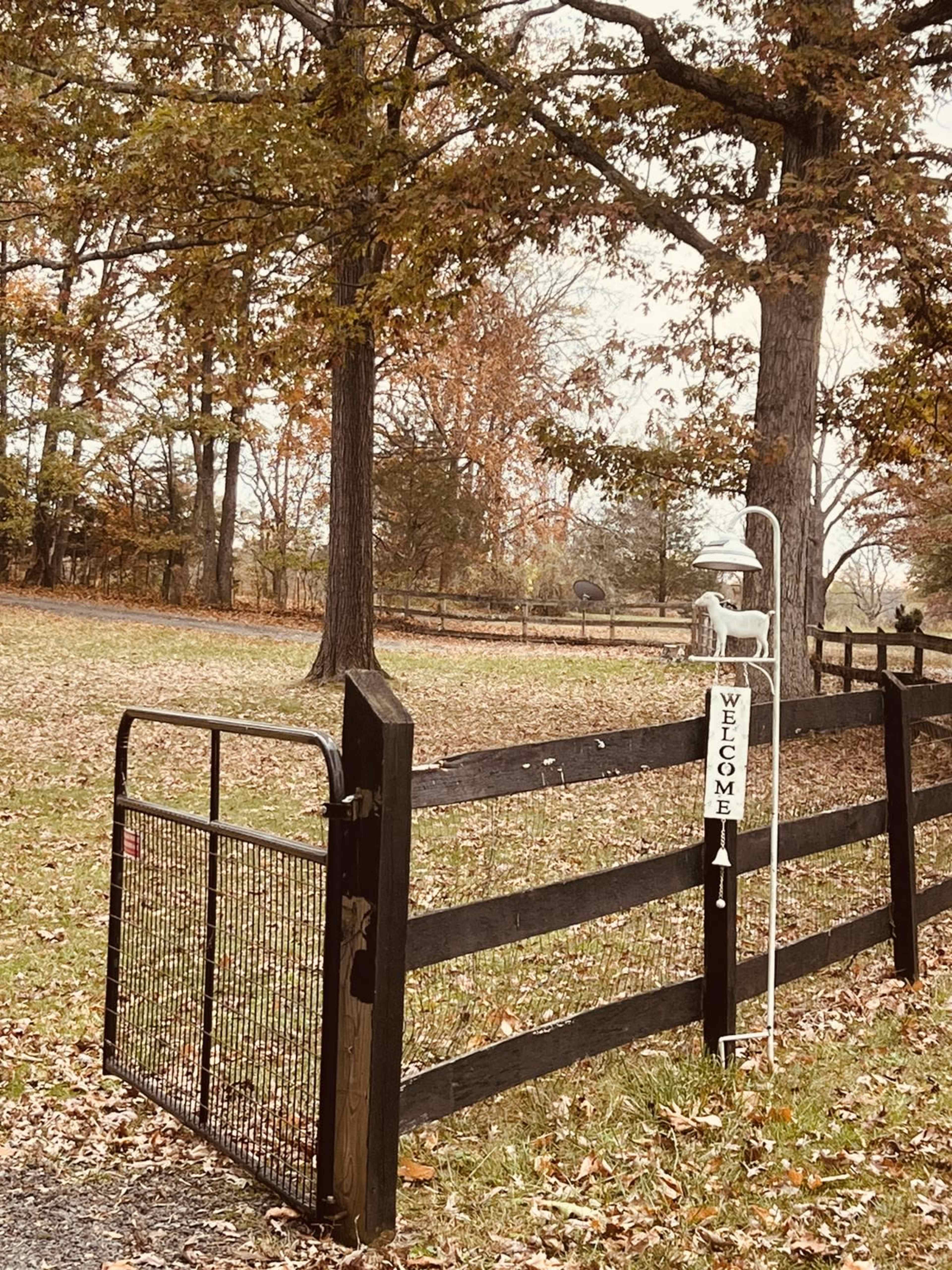 1 miles from Vint Hill Winery, Old Bust Head Brewery, Alias fine dining restaurant, and Mad Magic Kombucha! Image in , Nokesville, VA