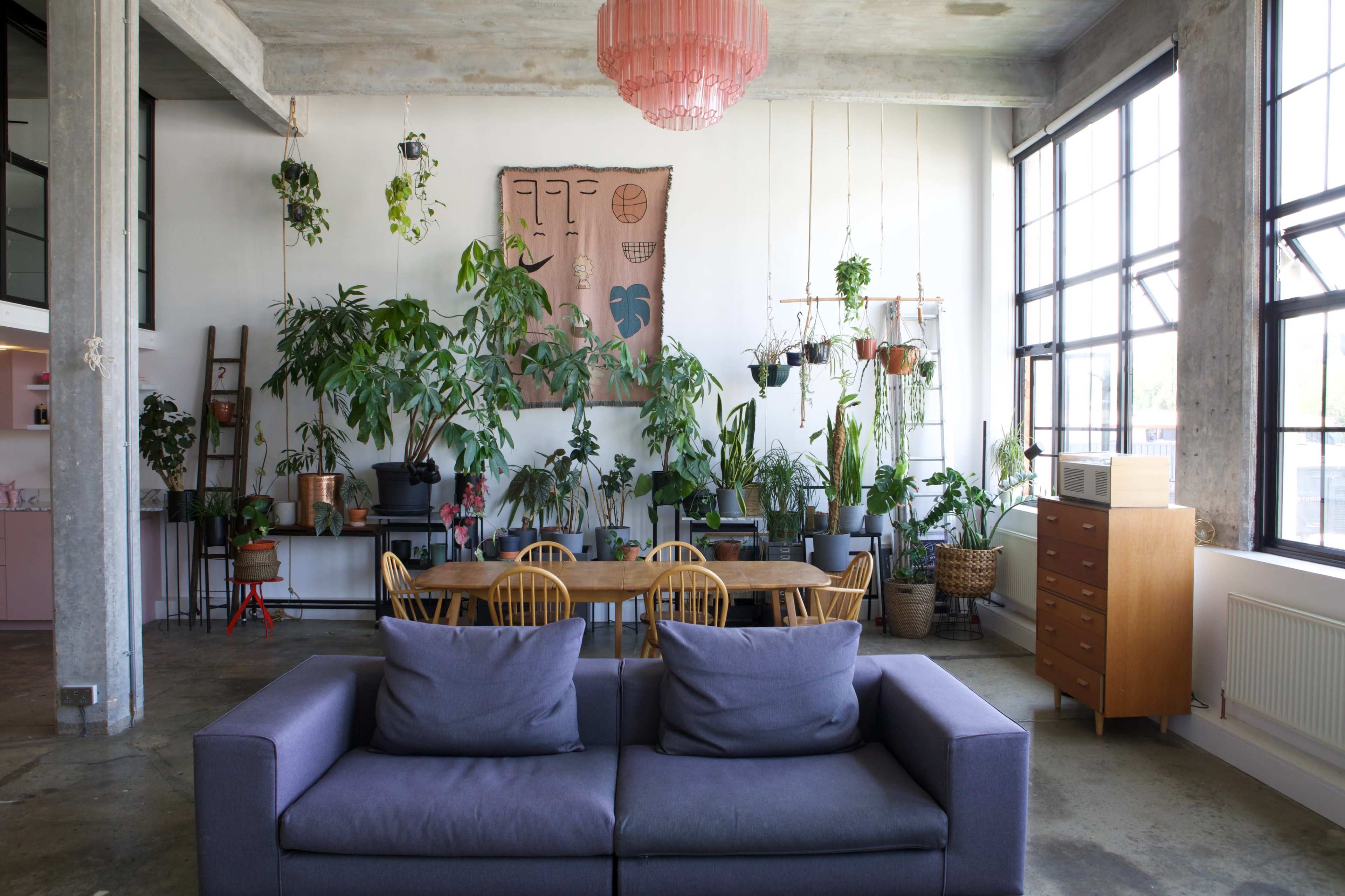 The image shows a spacious, modern living area filled with various indoor plants, featuring a purple sofa, a wooden dining table, and large windows allowing natural light to enter.