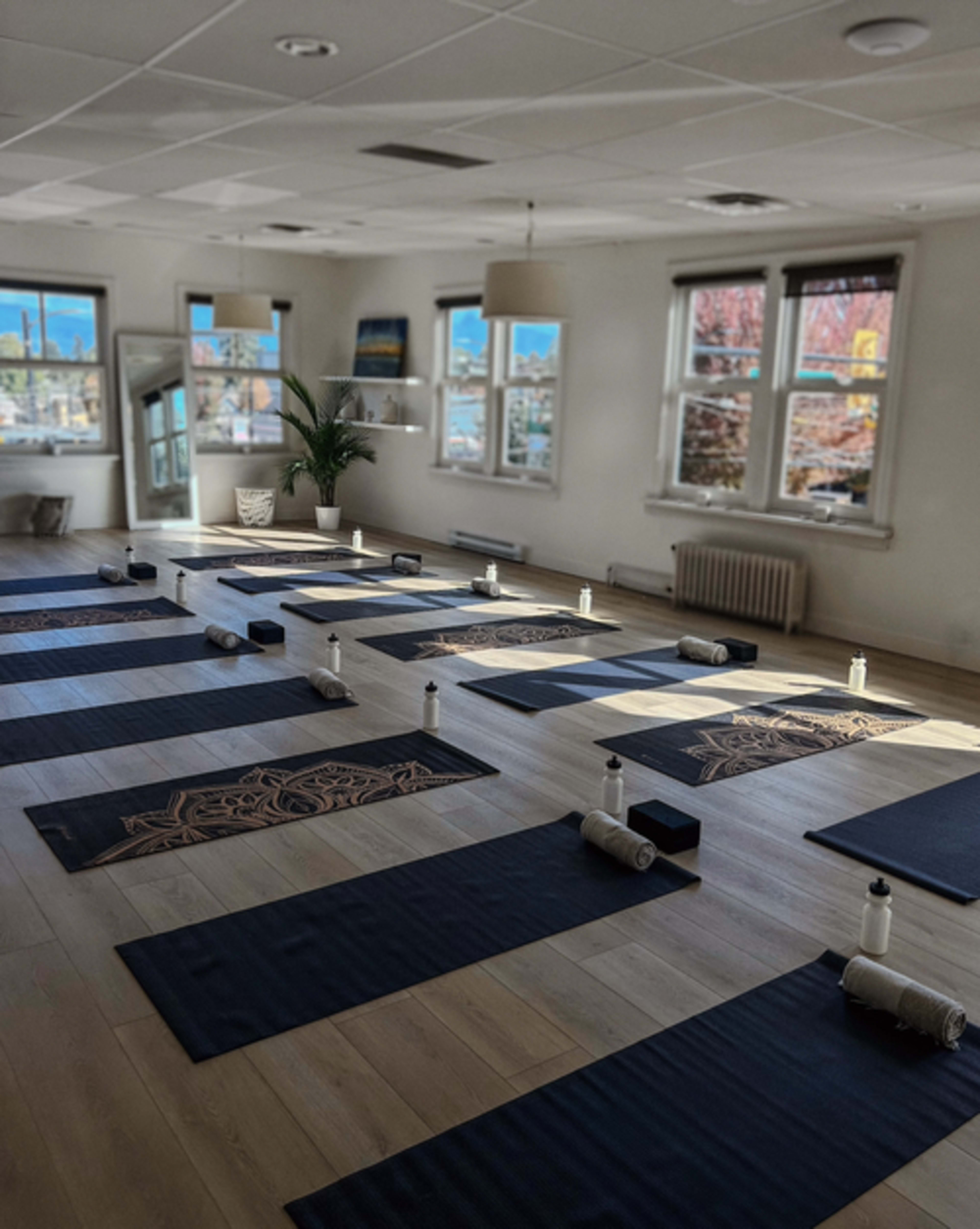A bright, airy studio with mountain views — a serene space to move, breathe, and connect. Image in West Side, Vancouver, BC