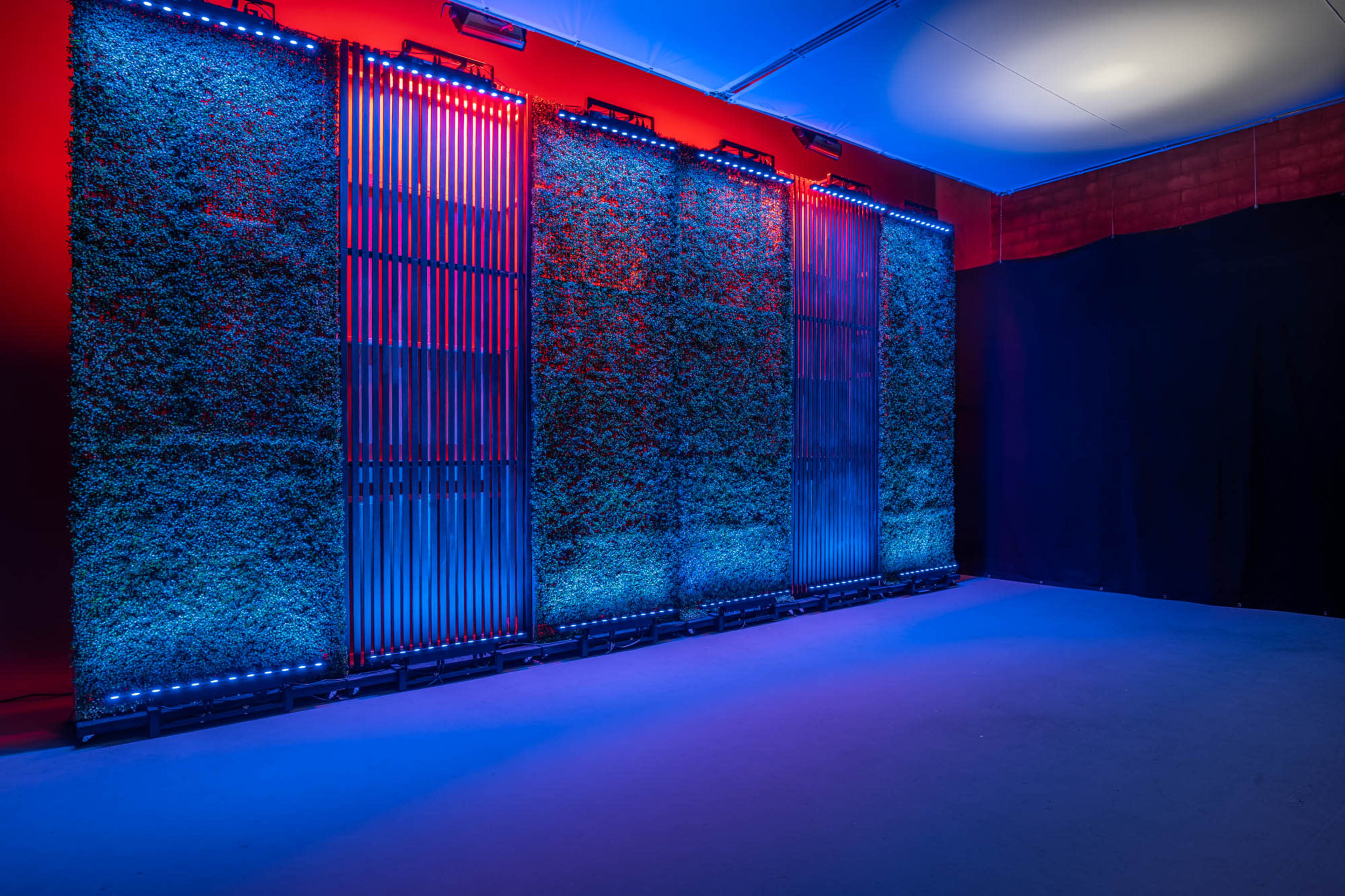 Three vertical panels covered in greenery, illuminated with blue and red lights in a dimly lit room.
