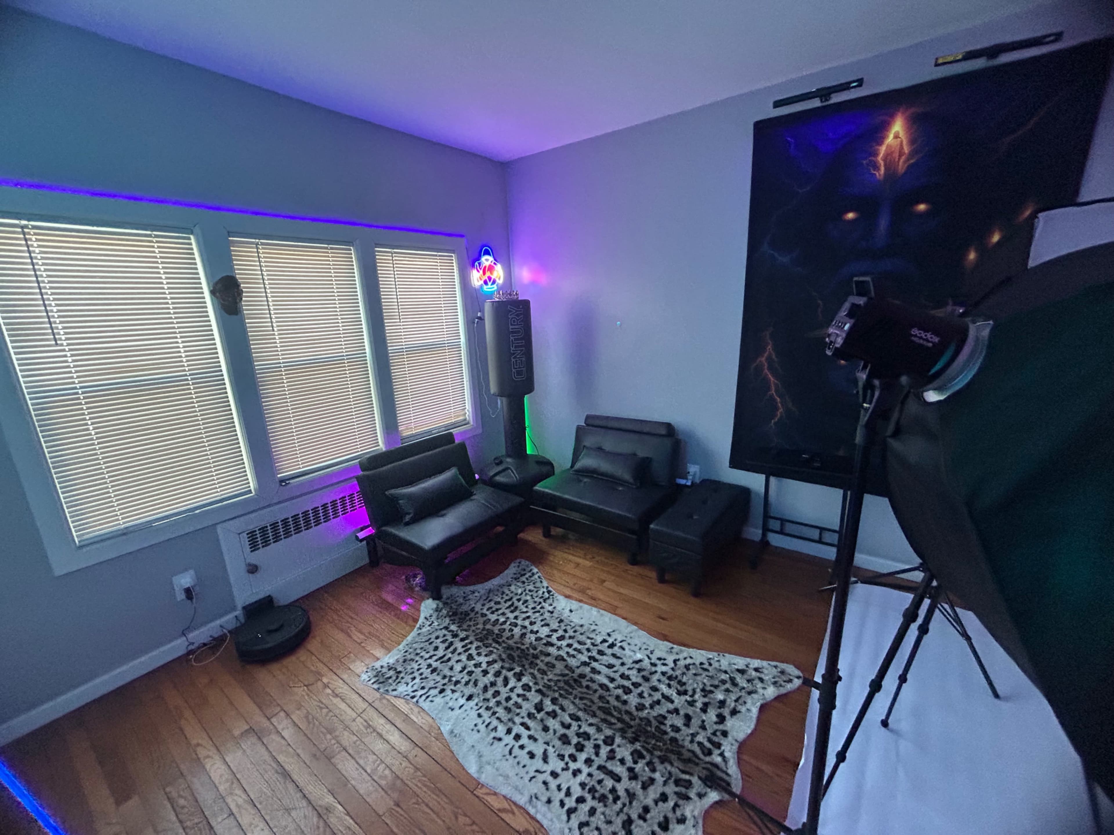 The image shows a room with wooden flooring, featuring two black sofas, a large wall-mounted artwork, a cowhide rug, and a corner with a green-lit device and studio lighting setup.