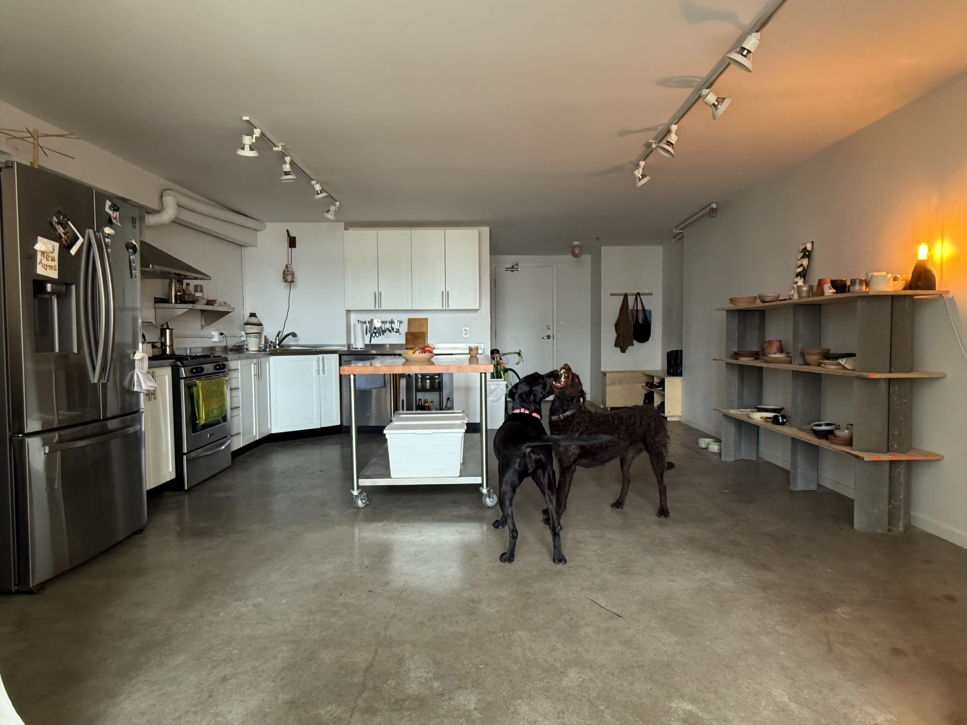 A modern kitchen and living area features two dogs on a polished concrete floor, with appliances, cabinets, and shelves neatly arranged in the space.