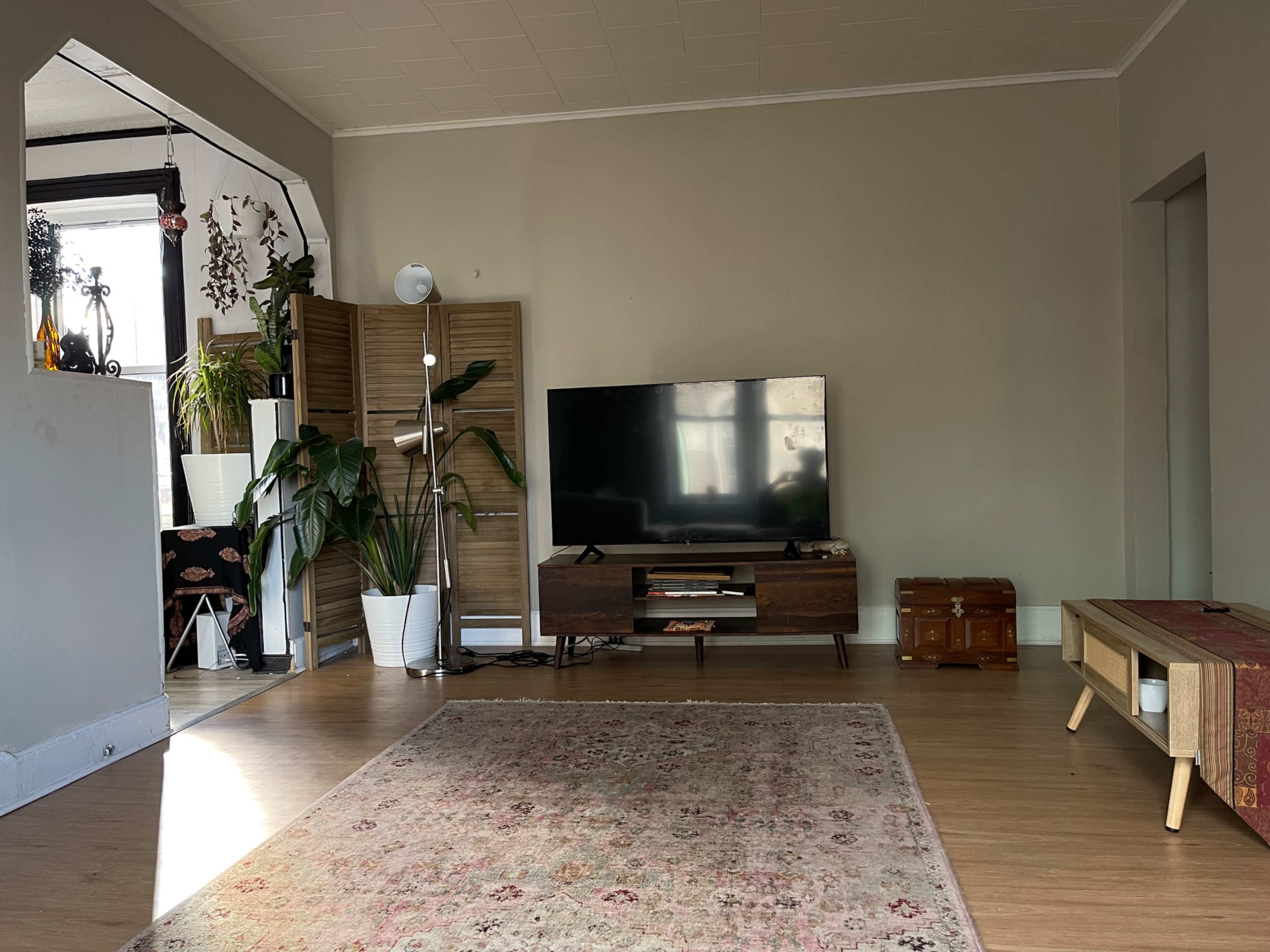 The image shows a living room with a large TV on a wooden stand, a potted plant, and a rug on a wooden floor, with light streaming in from a window.