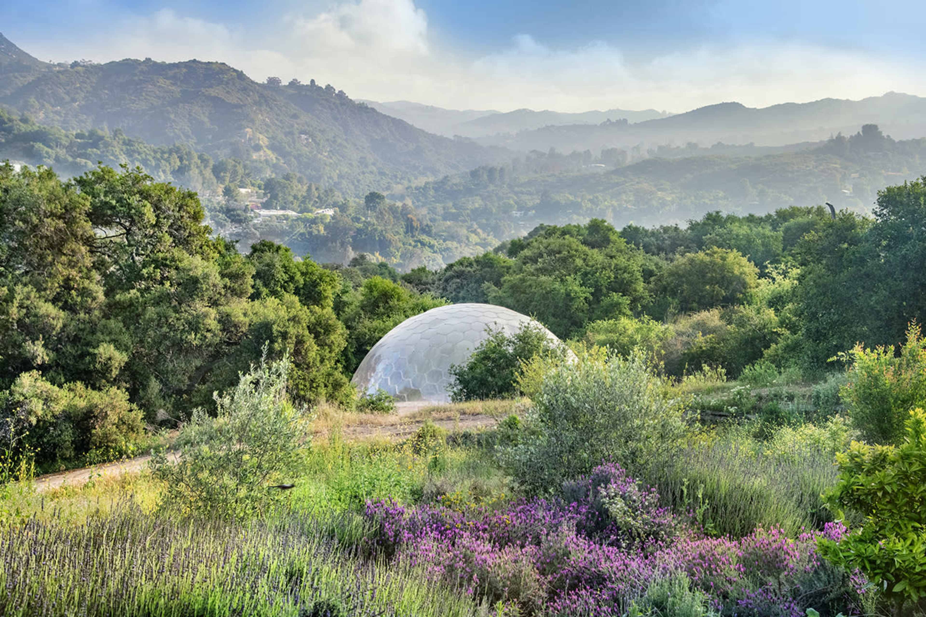 A geodesic dome sits amidst lush greenery and colorful wildflowers, with rolling hills in the background.