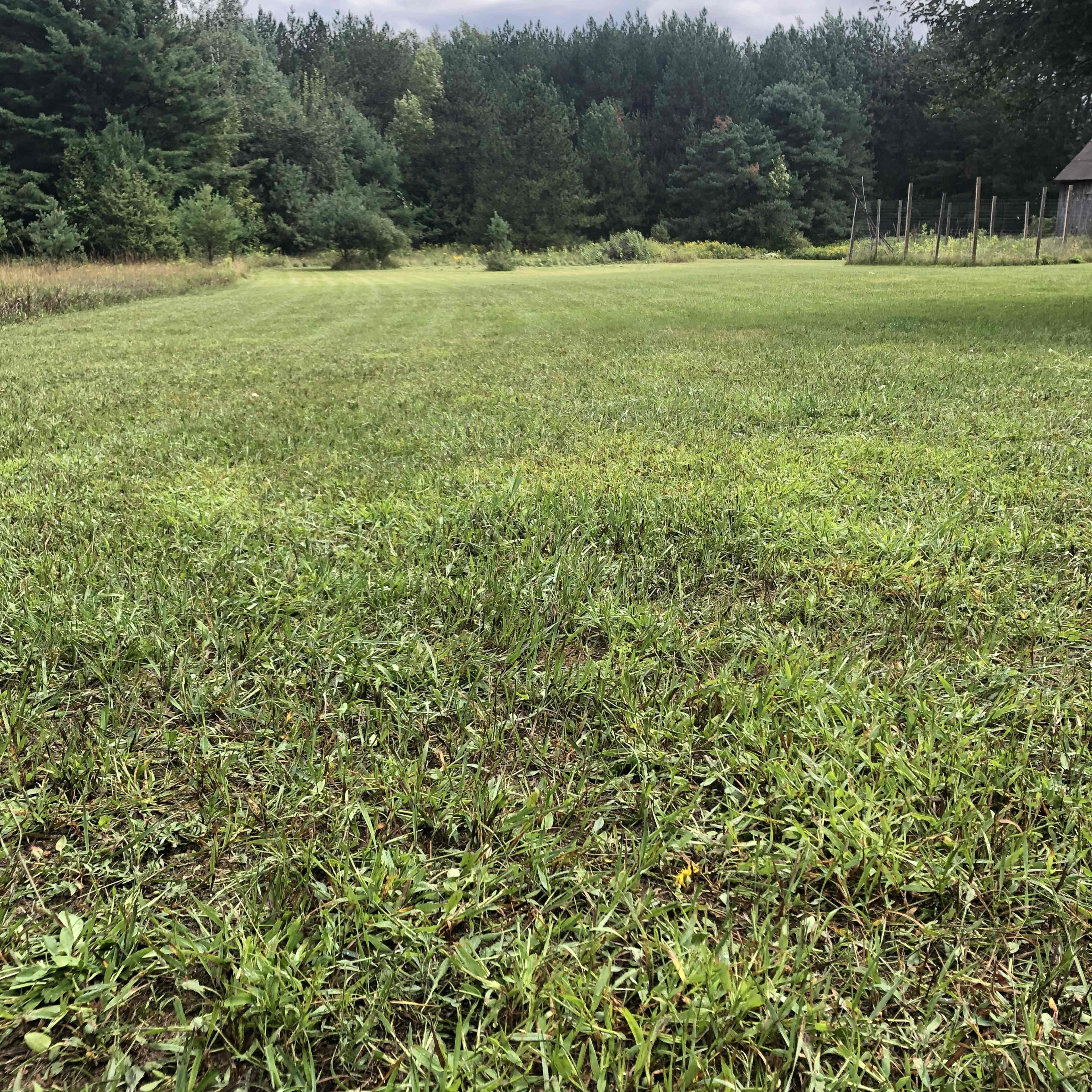 Spacious Farmhouse Property Image in Eveline Township, East Jordan, MI