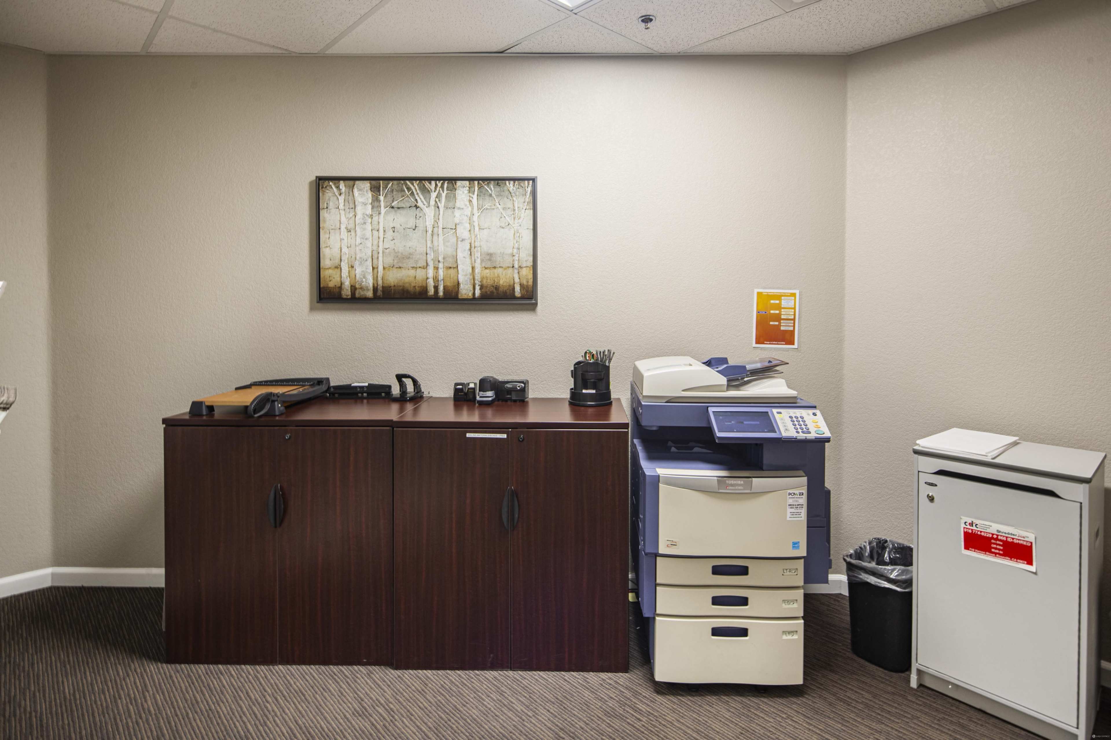 An office space with a wooden cabinet, a printer/copier, and a small refrigerator against a beige wall, alongside a framed picture of trees.