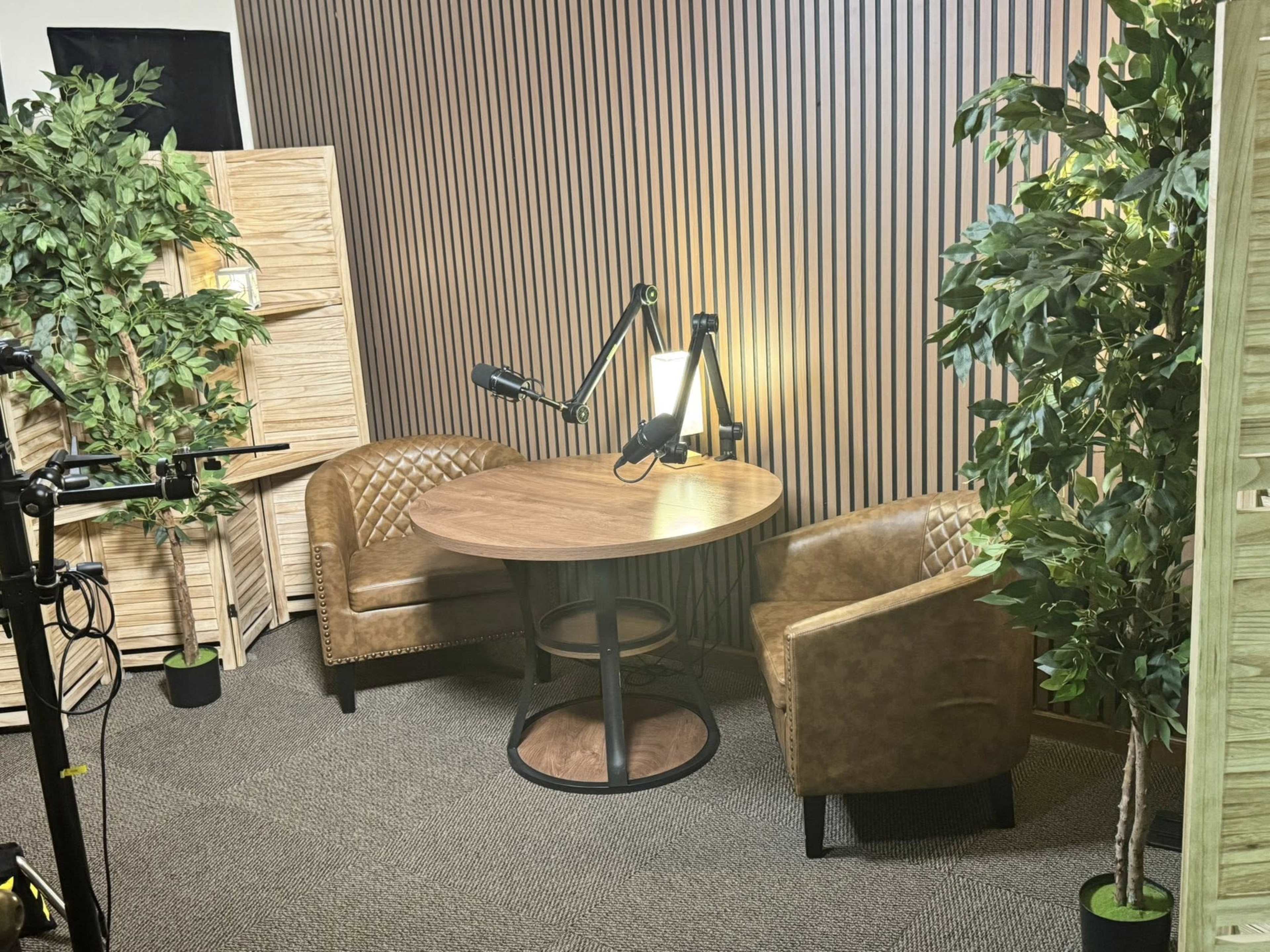 Photography Studio Easily Available Image in Mid City South, BATON ROUGE, LA