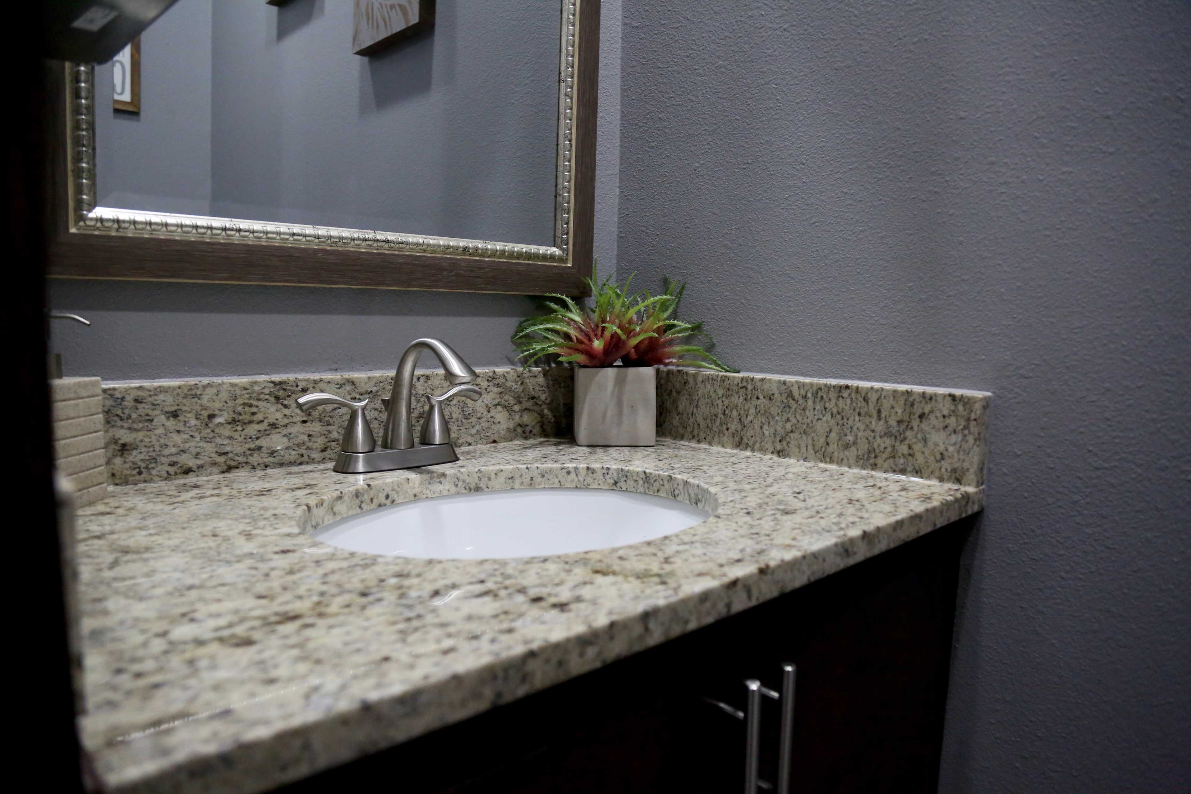 A bathroom sink with a granite countertop, a modern faucet, and a small potted plant on the side.