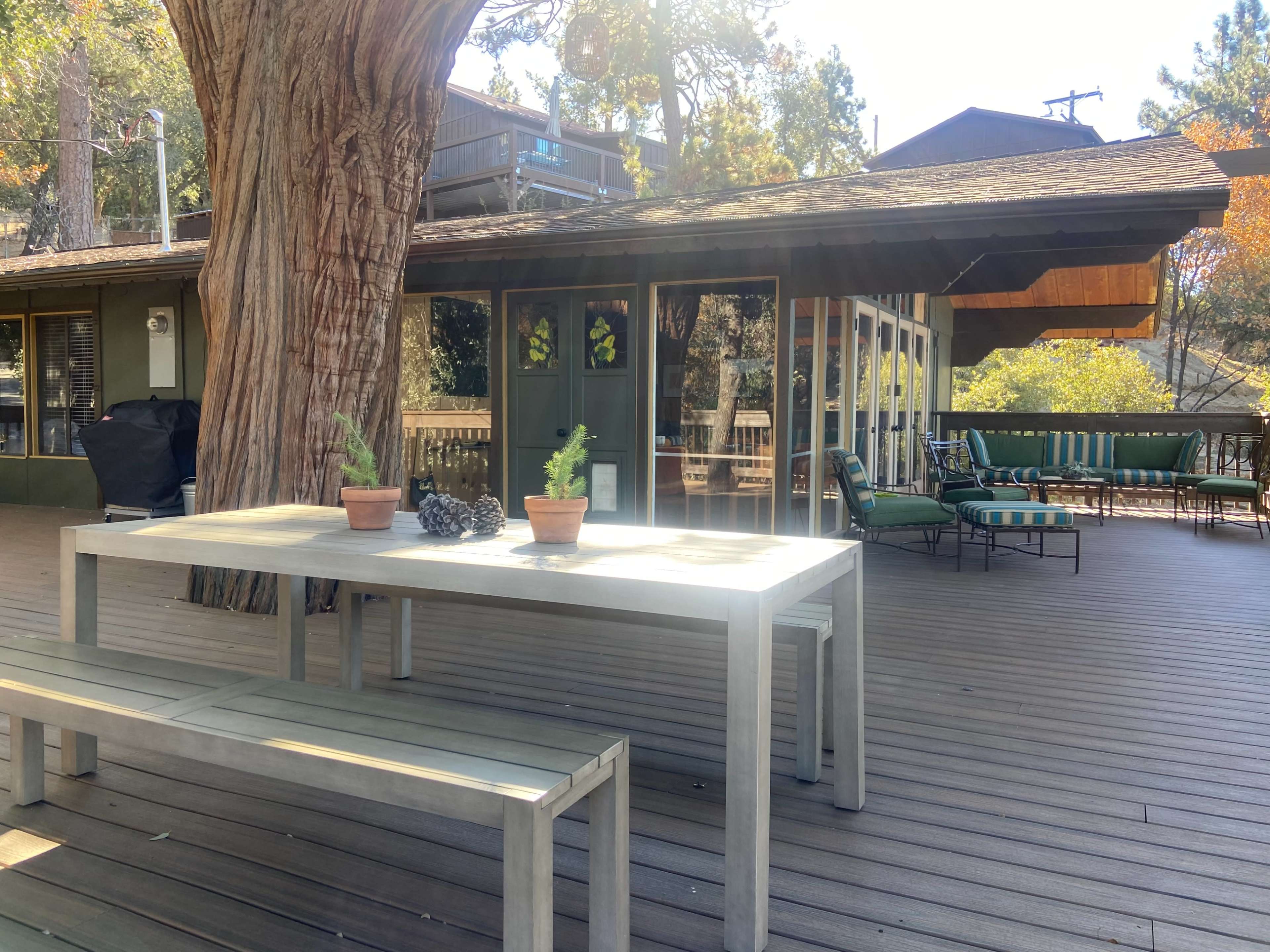 A wooden table with potted plants stands on a deck next to a large tree, overlooking a home with large windows and outdoor seating.