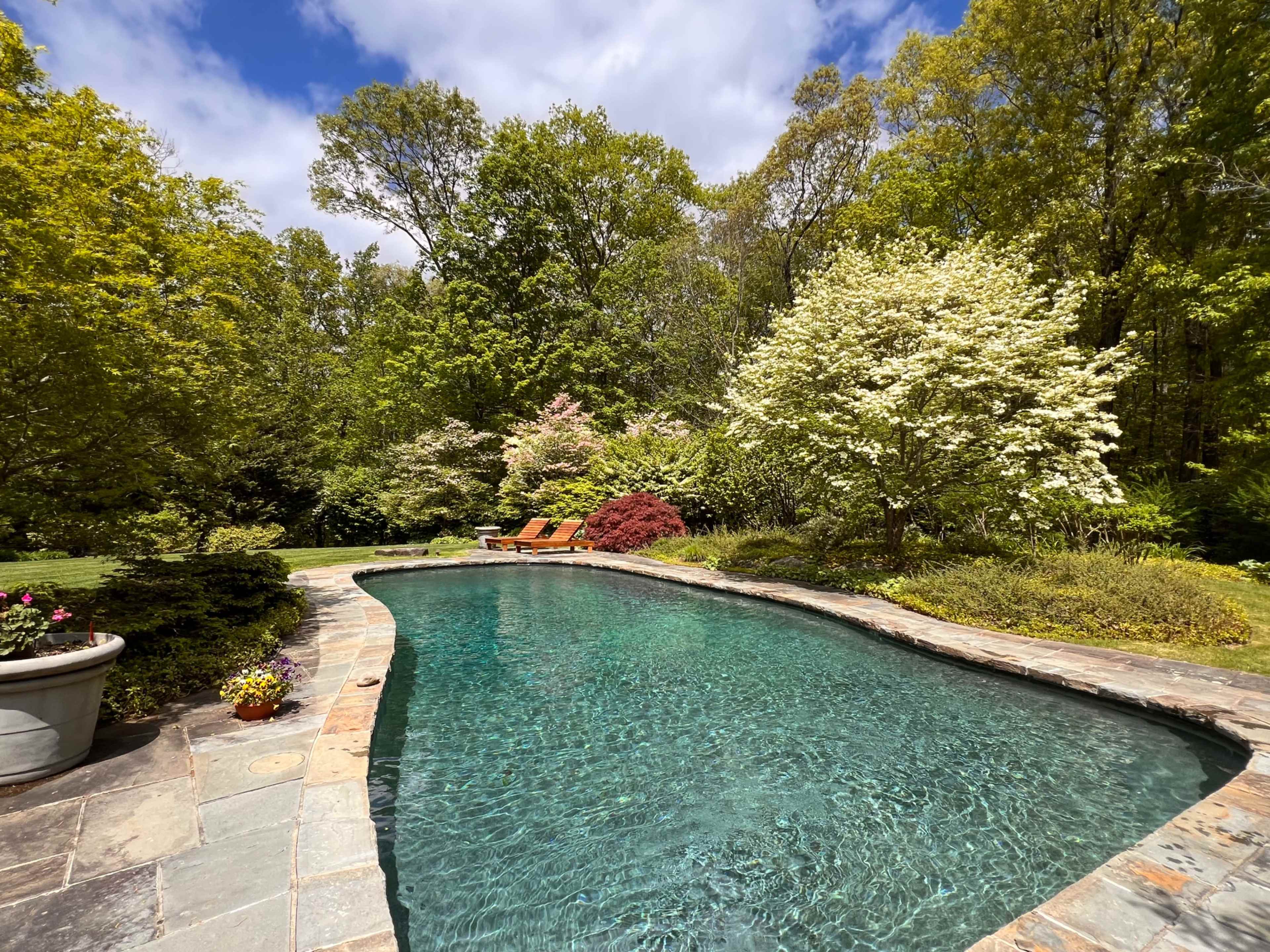 A clear, blue swimming pool is surrounded by lush greenery and flowering shrubs in a sunny backyard.
