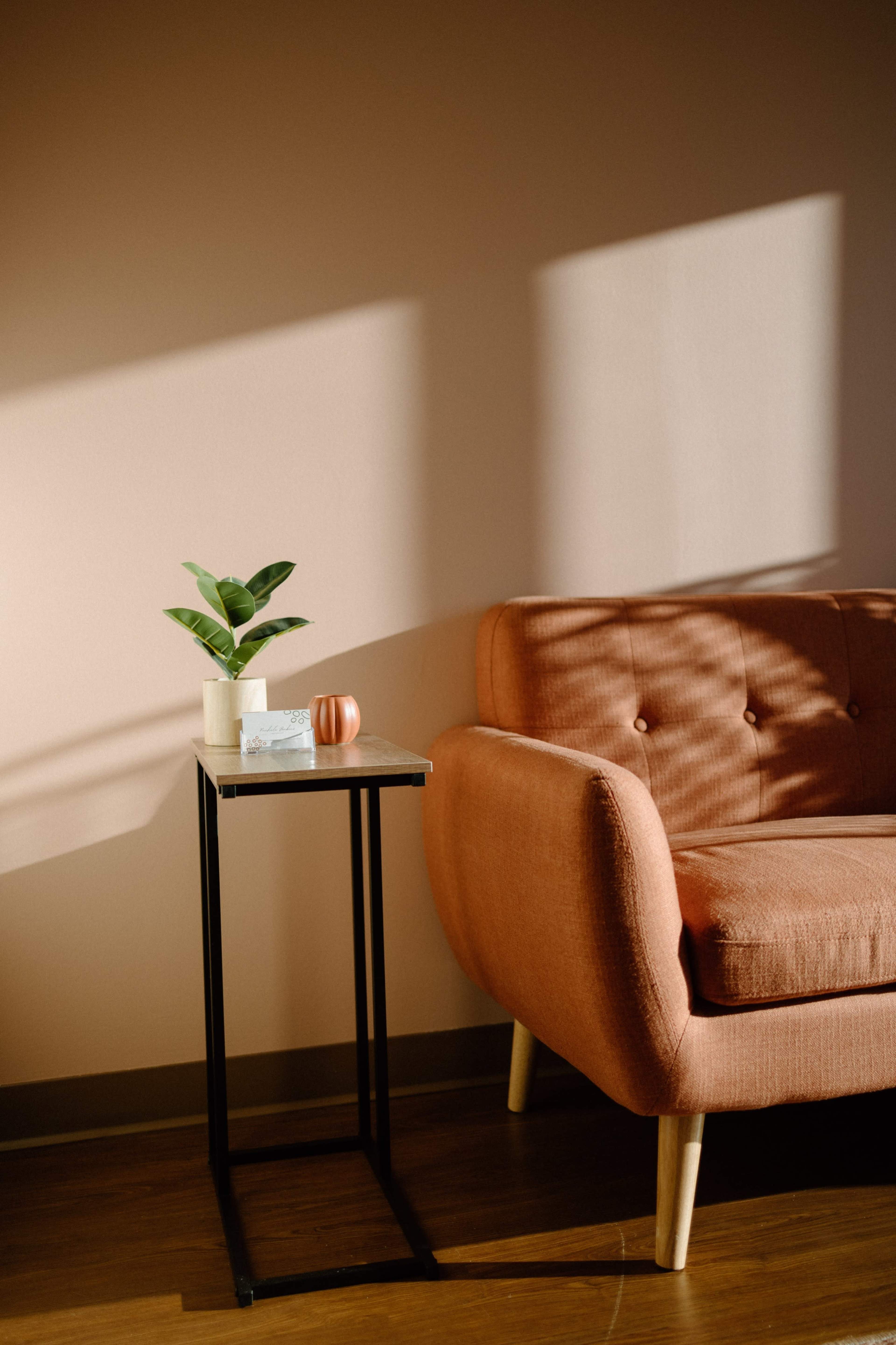 A peach-colored sofa is positioned beside a small table with a plant and a decorative item, illuminated by sunlight filtering through a window.
