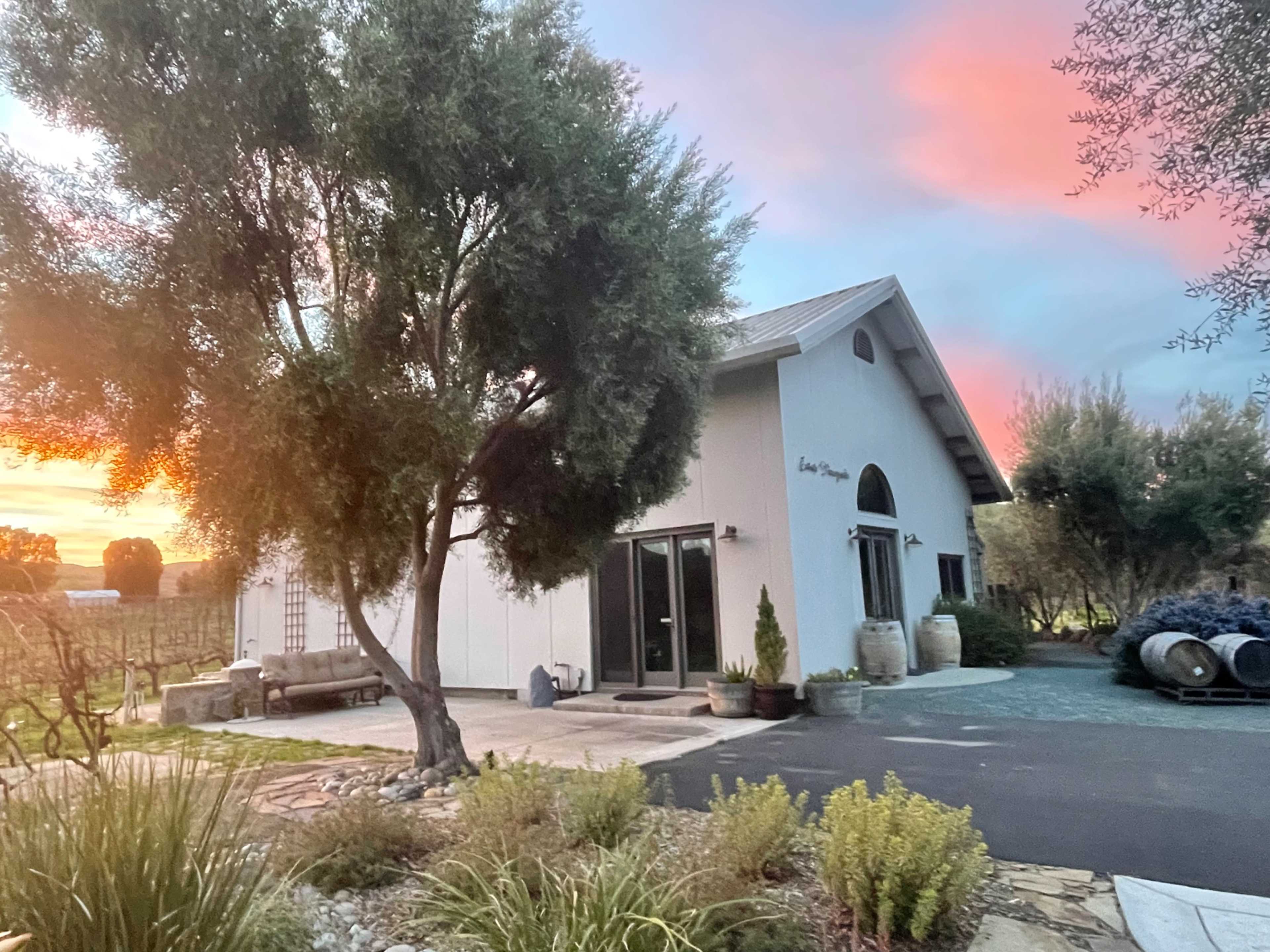 A modern winery building with large windows is set against a backdrop of a colorful sunset, surrounded by lush greenery and vineyard rows.