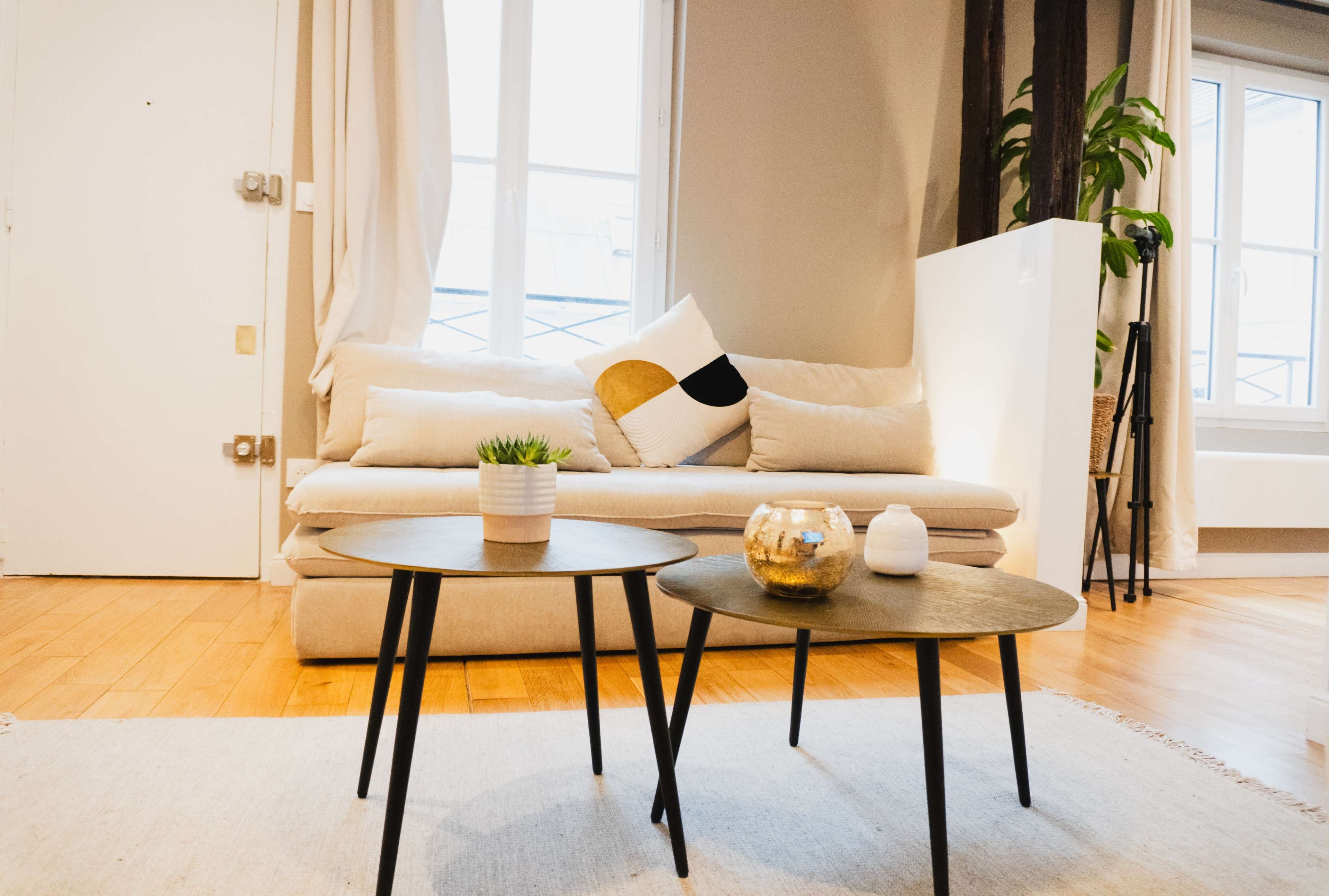 A minimalist living room features a beige sofa with decorative pillows and two small black-topped tables in front, balanced by a potted plant and natural light coming through the windows.