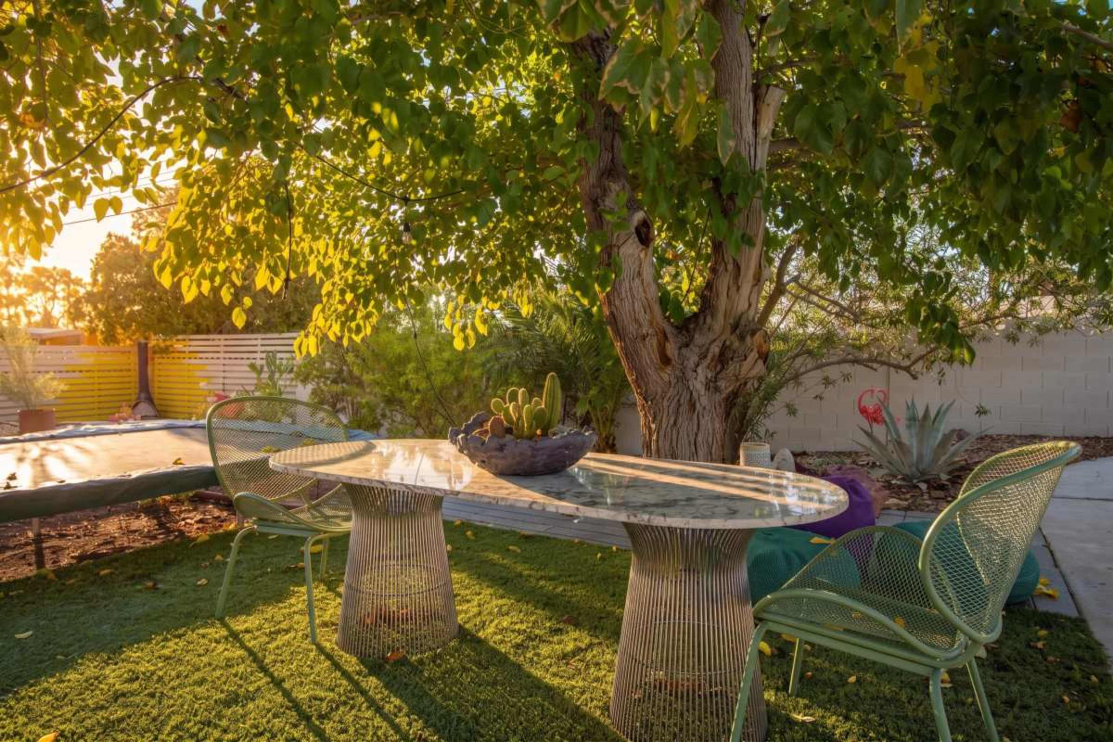 A transparent glass table with wire chairs is situated under a large tree in a backyard setting.