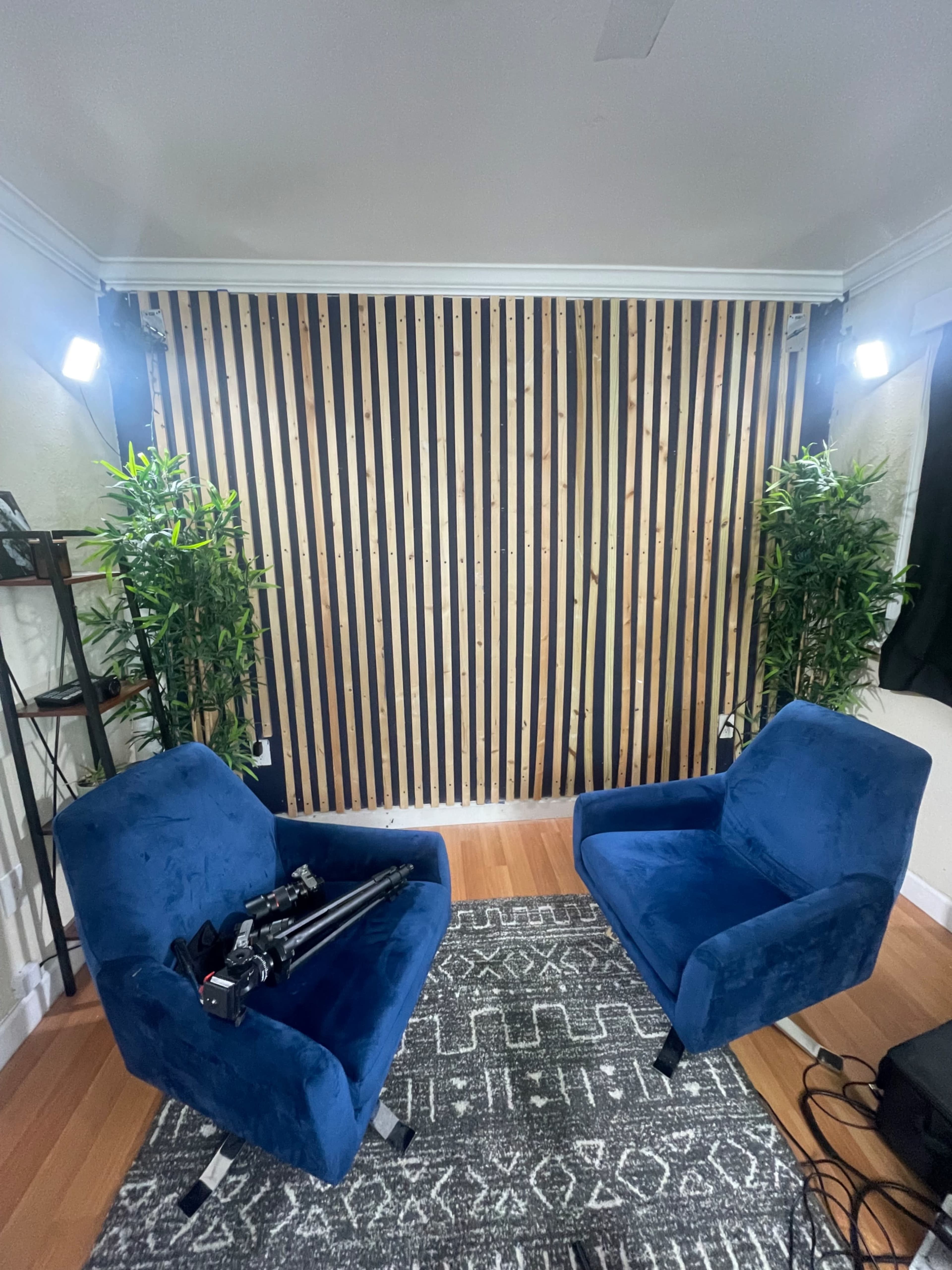 A well-lit room features two blue chairs facing a wooden slatted wall, with plants on either side and a tripod resting on one chair.