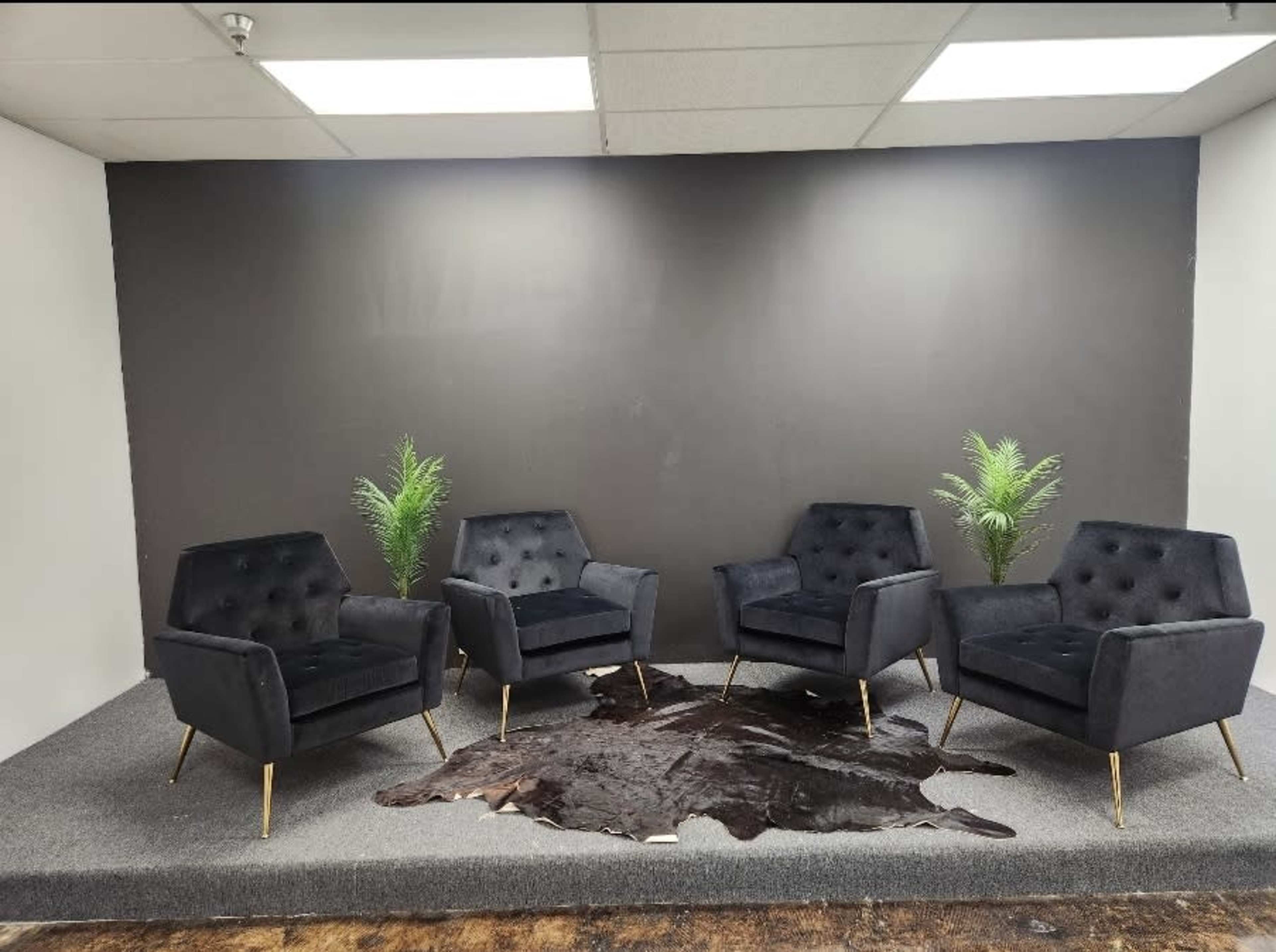 A set of four black velvet chairs arranged on a gray carpet in front of a dark wall, with a cowhide rug and two green plants as decor.