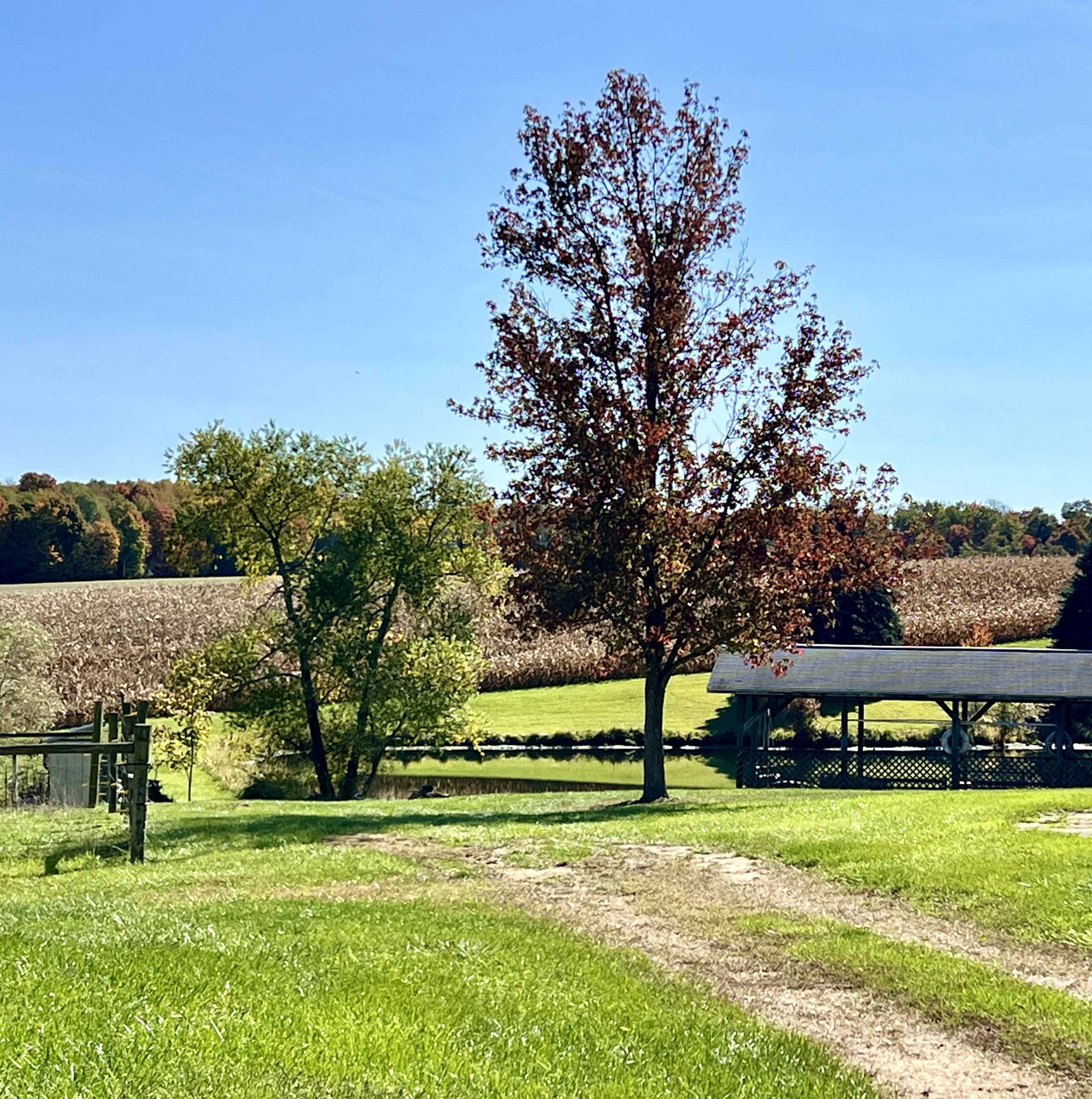 Tranquil Farmhouse with Stunning Valley View Image in Knox Township, Alliance, OH