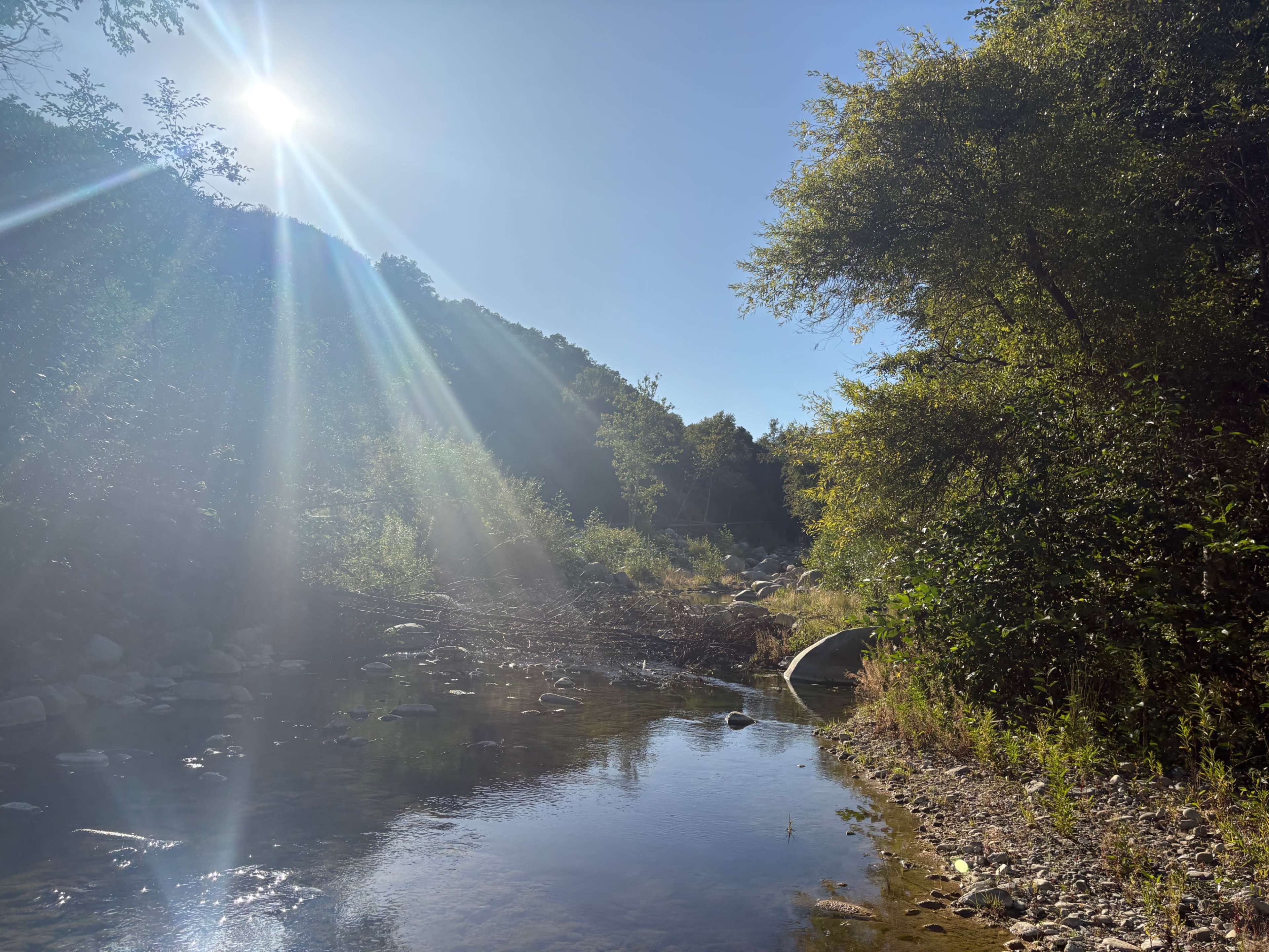 Rustic Forest Hideaway with Untamed Mountain Vibes Image in , Ojai, CA