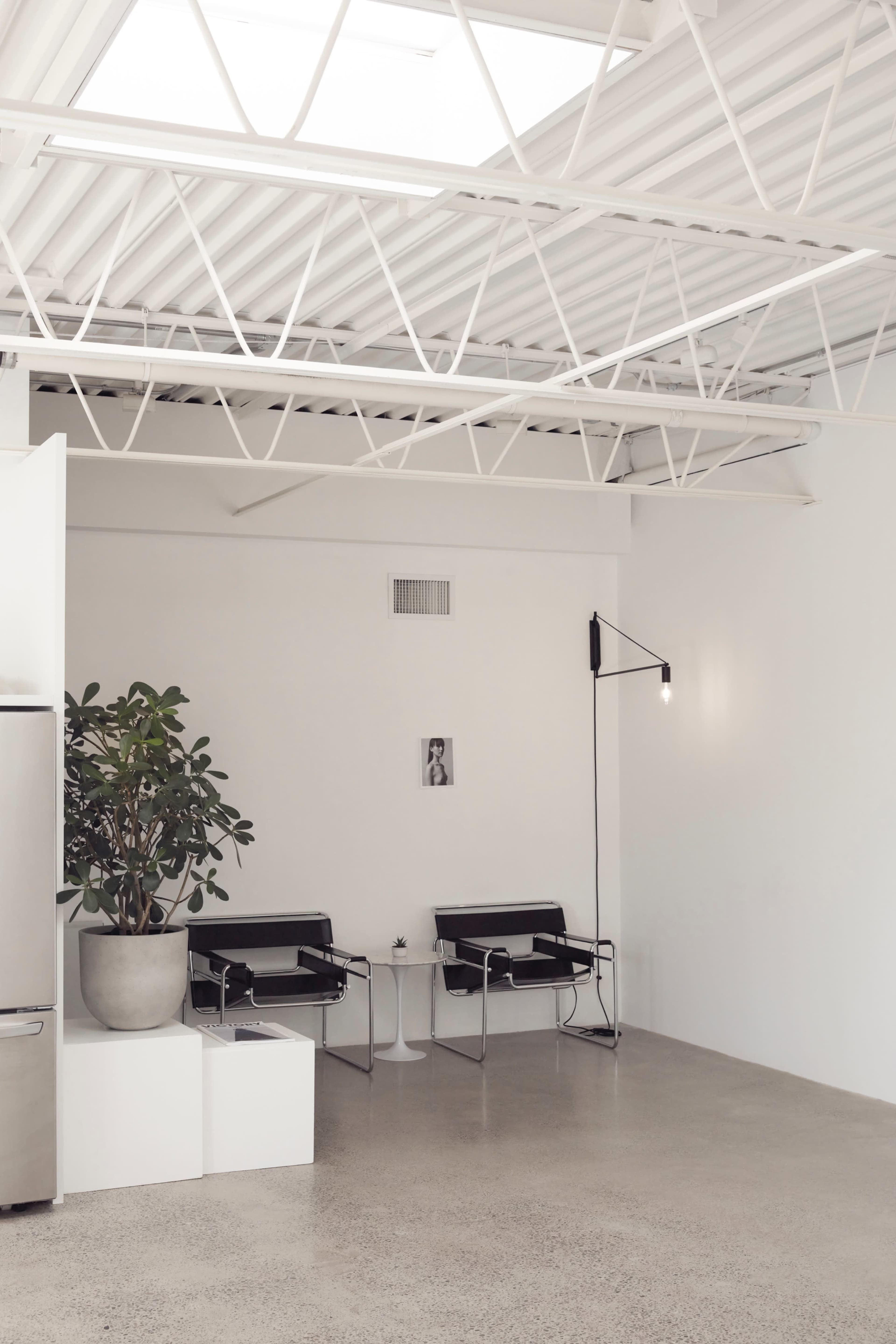 A minimalist interior with two black chairs, a small round table, a large potted plant, and a kitchen area with a stainless steel refrigerator.