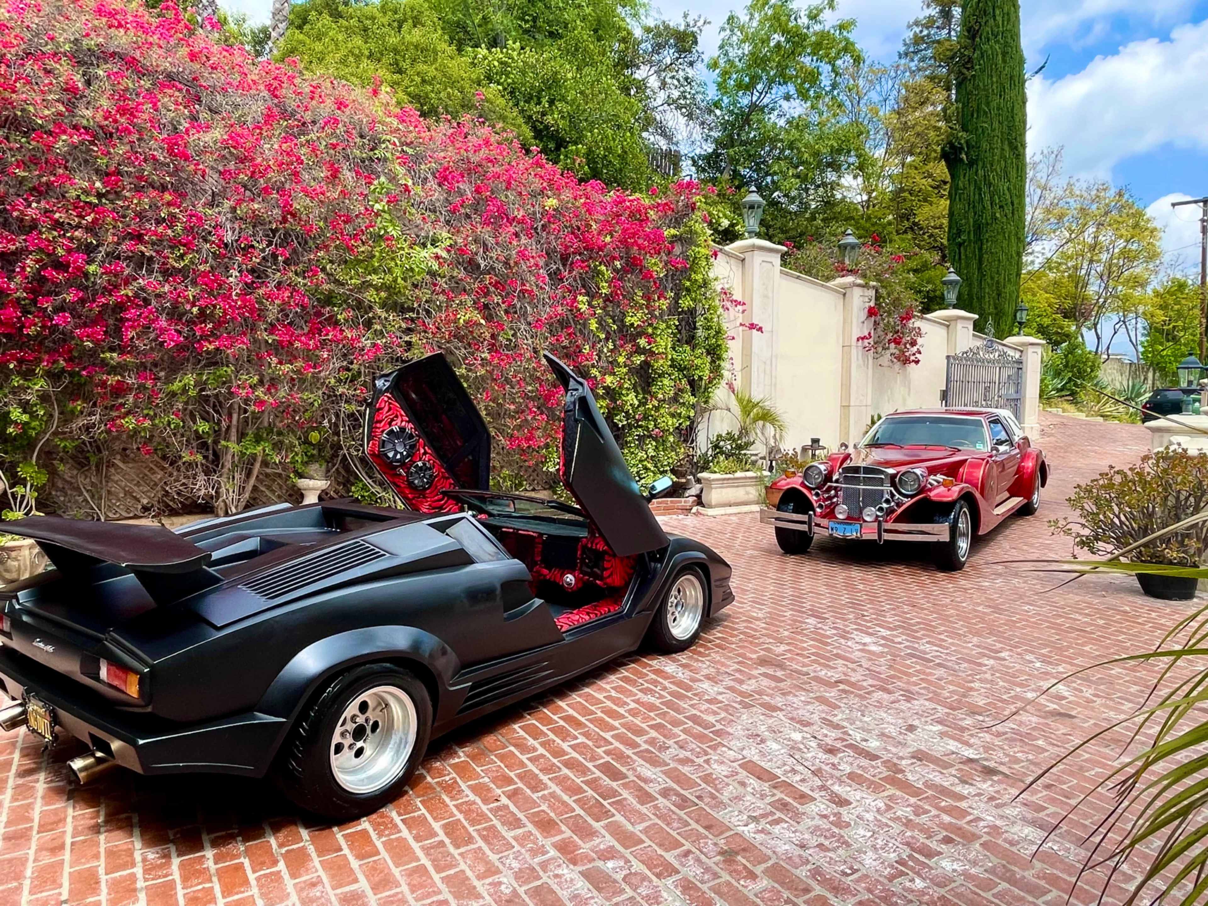 A black sports car with its doors open is parked next to a red classic car on a brick pathway surrounded by vibrant flowers and greenery.
