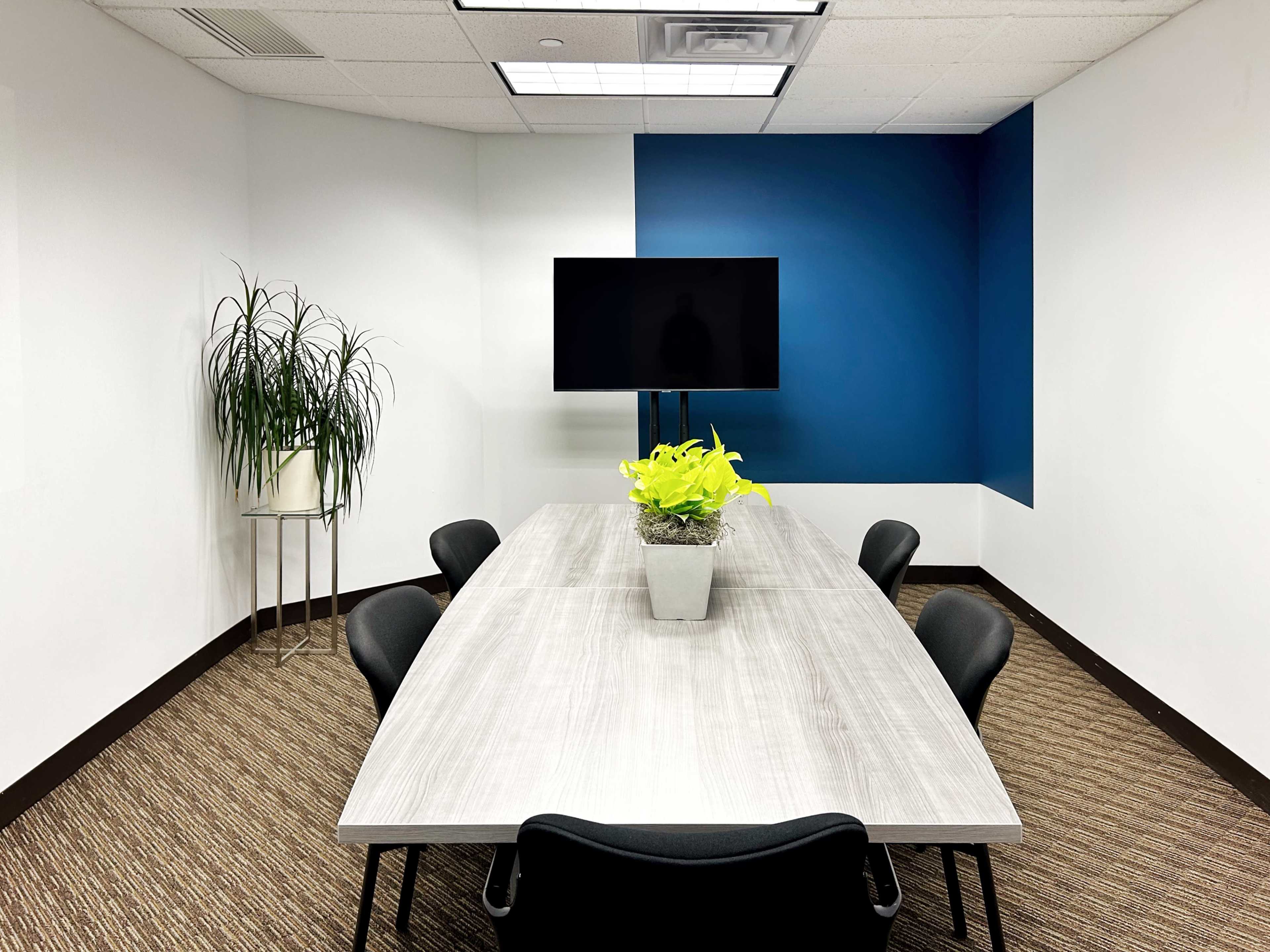 The image shows a modern conference room with a long table, six black chairs, a potted plant in the corner, and a wall-mounted television.