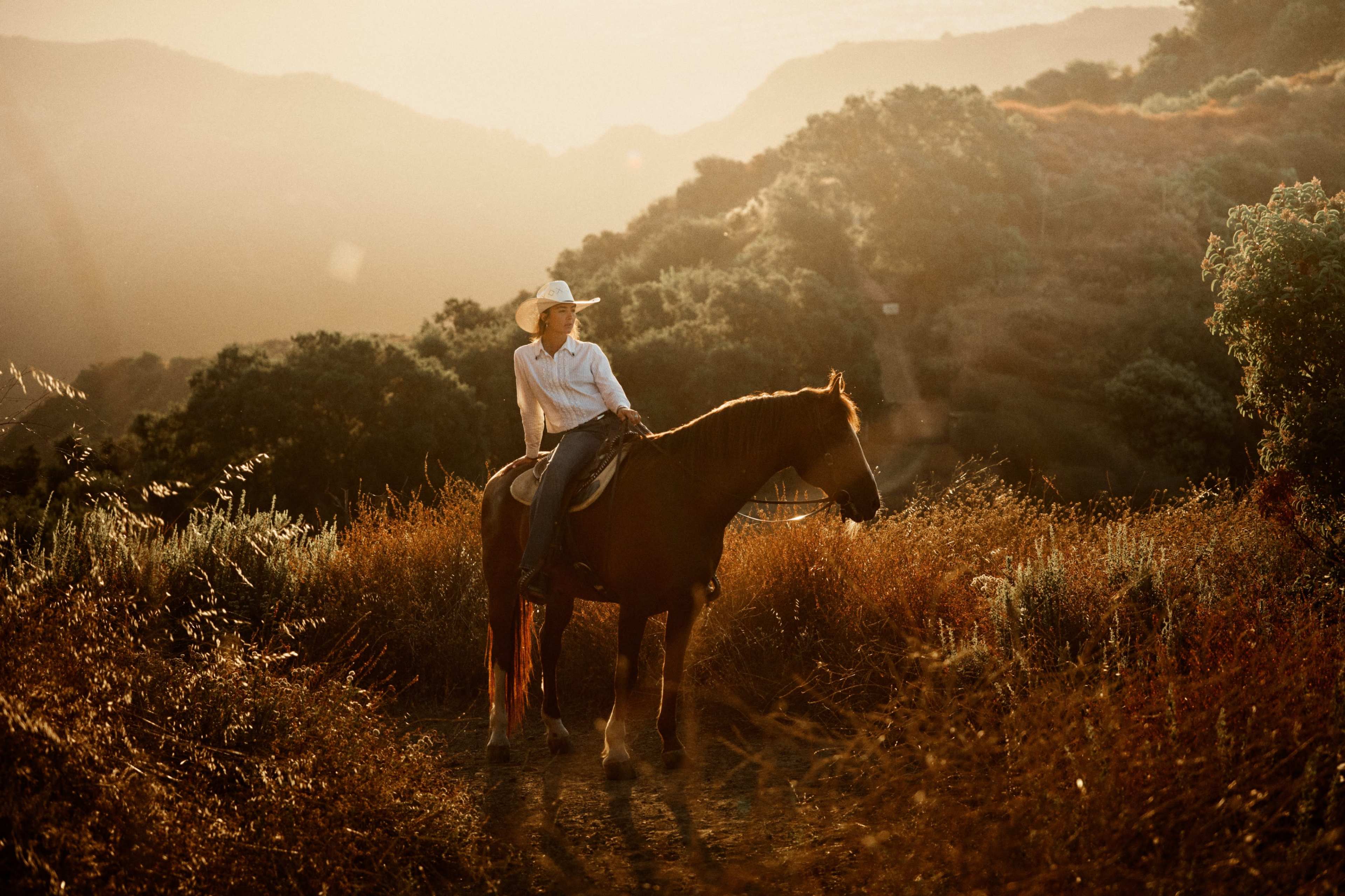 Topanga Western Ranch Retreat with Panoramic Ocean Views for Events & Shoots Image in Topanga, Topanga, CA