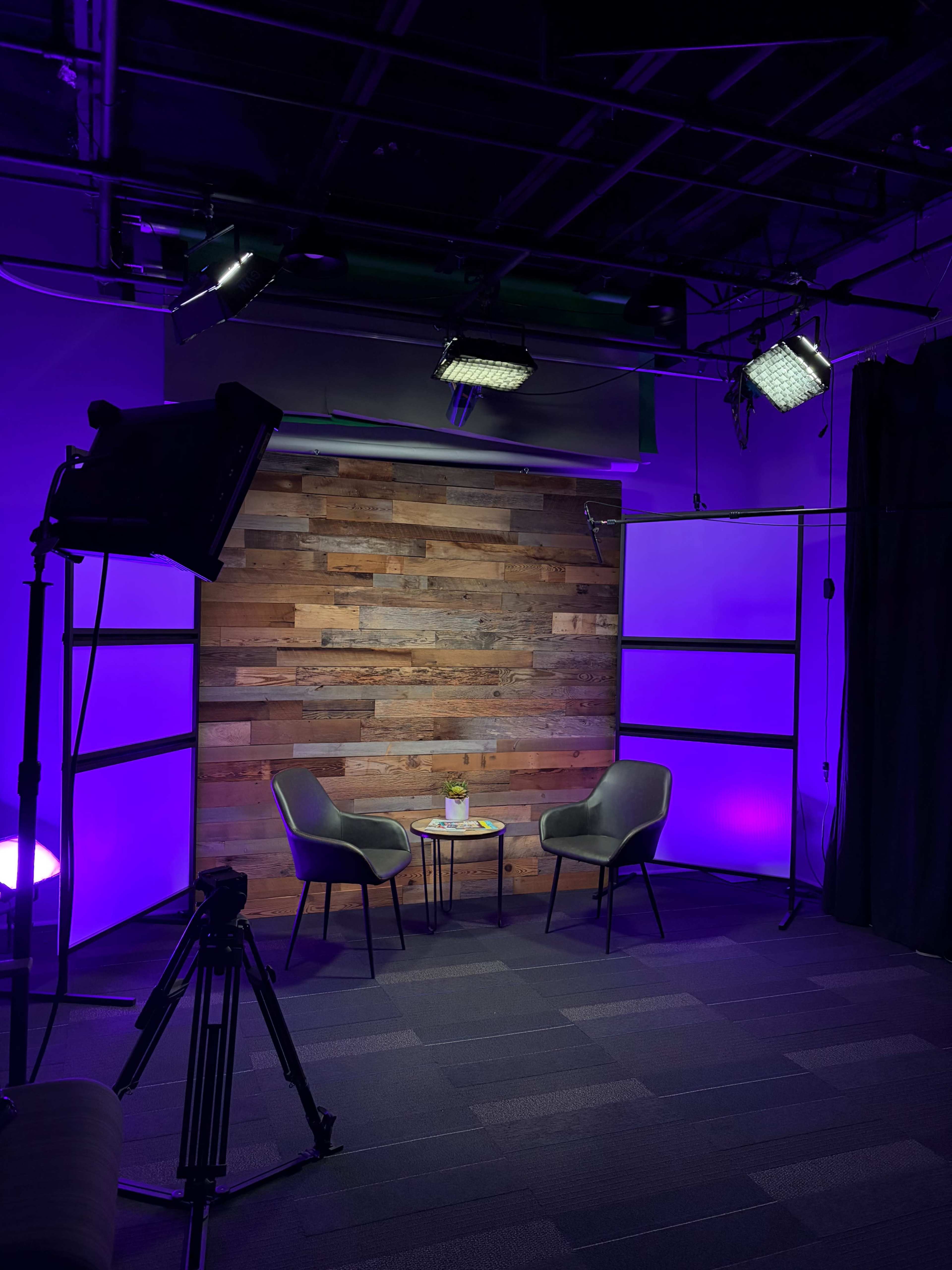 The image shows a small studio setup with two gray chairs facing a wooden panel backdrop, a table with a small plant, and studio lights positioned above.