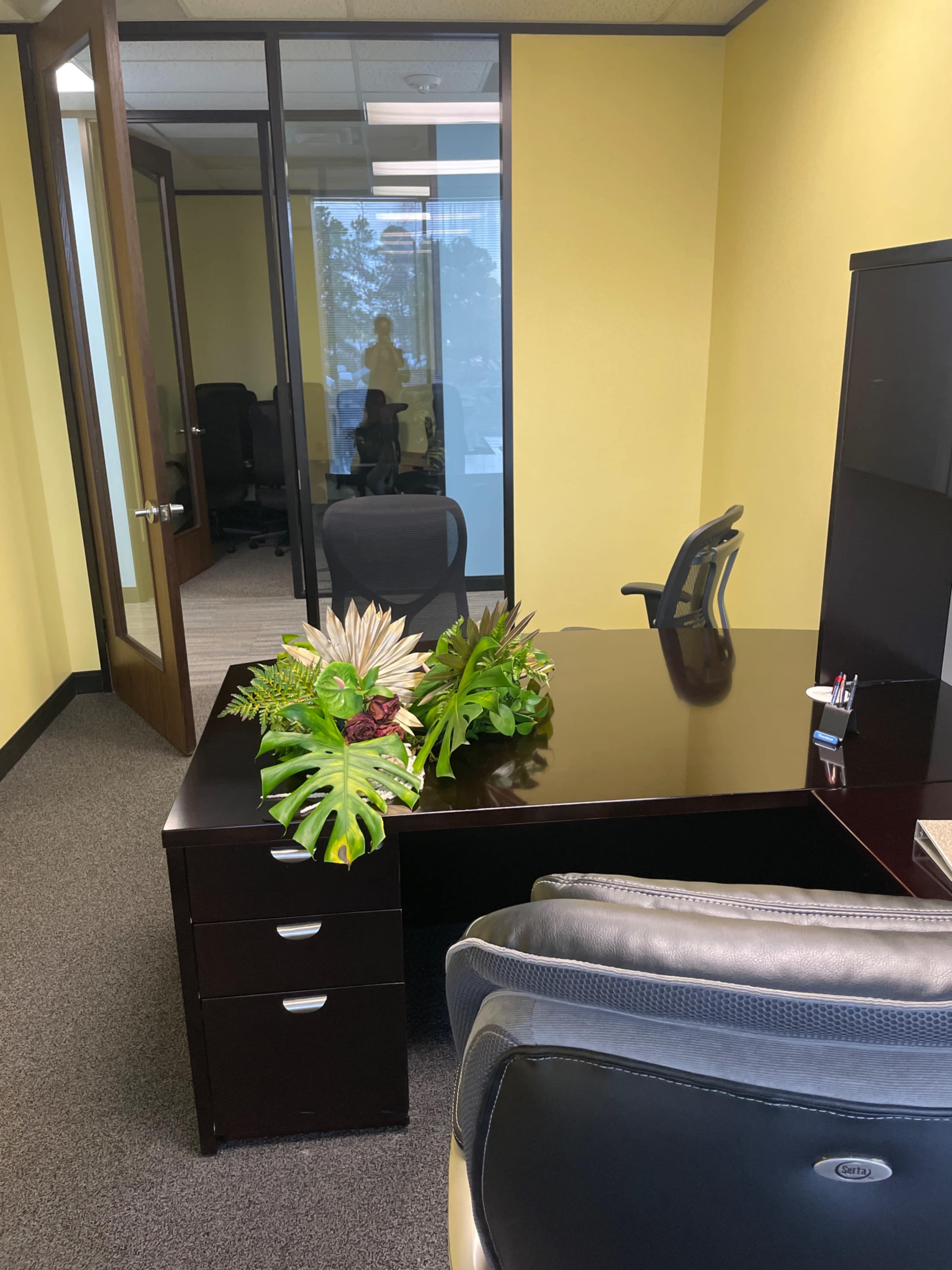 The image shows a neatly organized office space with a dark wooden desk featuring decorative plants, black chairs, and glass walls.